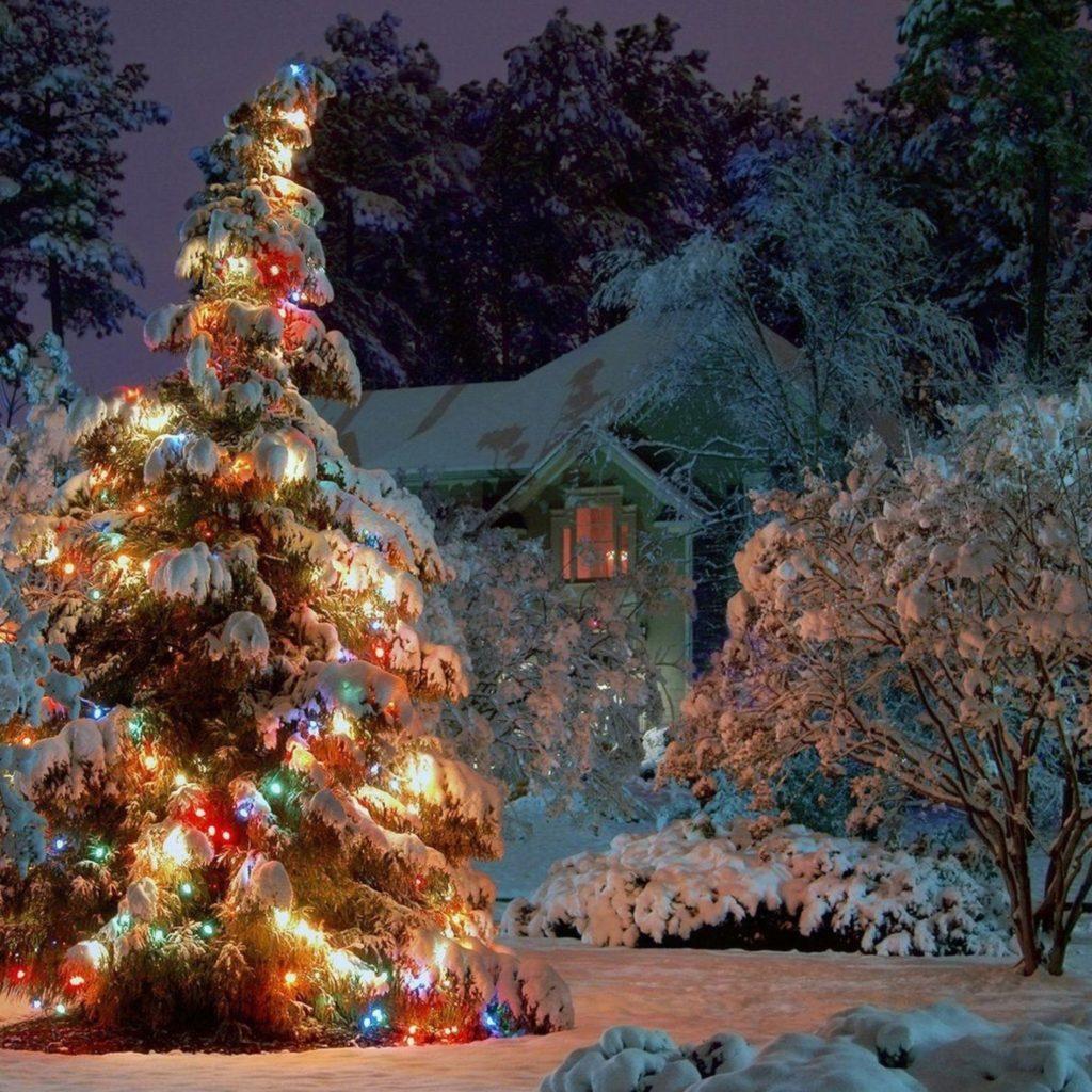 1024x1024 Christmas iPad Wallpaper 22