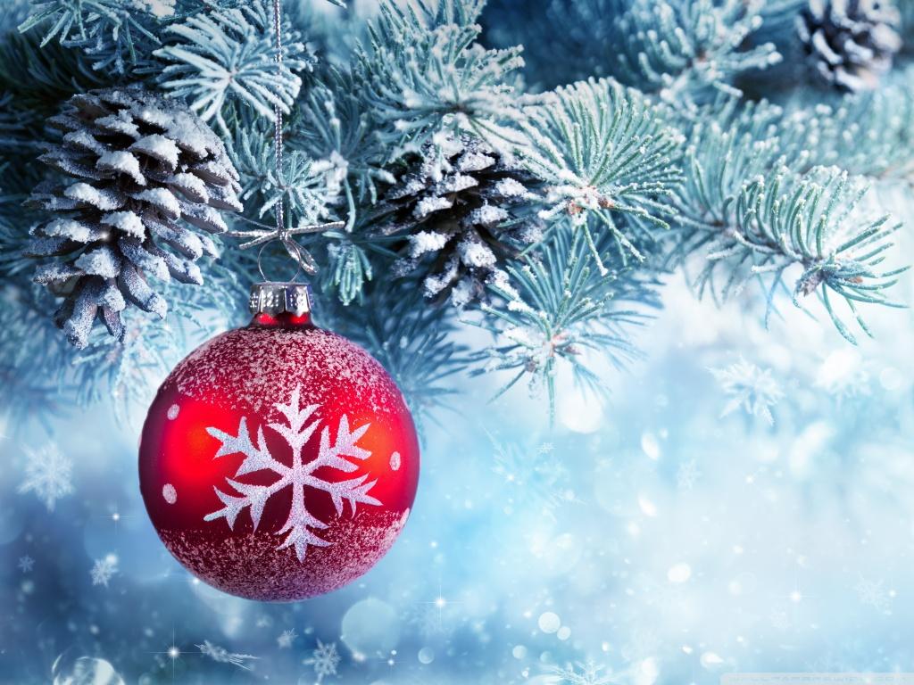 1024x768 Classic Christmas Tree Ultra HD Desktop Background Wallpaper for 4K UHD TV : Tablet