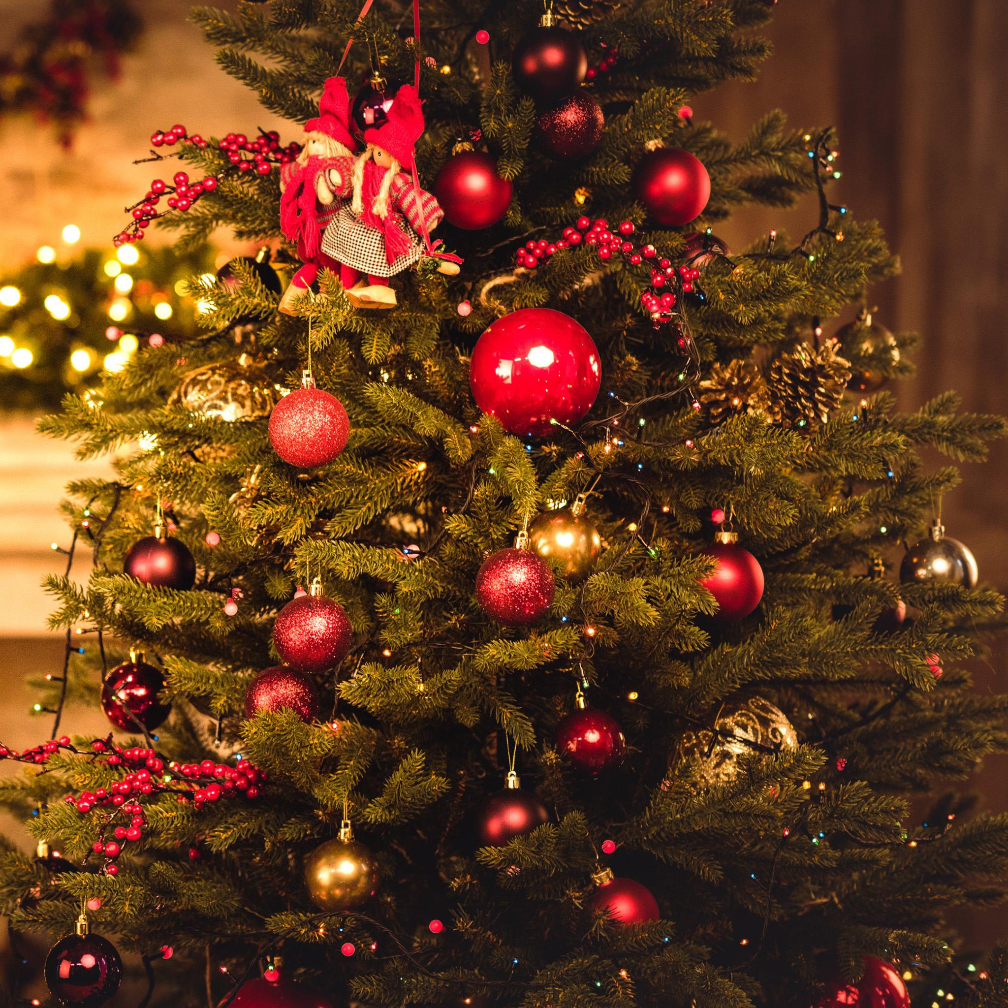 2048x2048 4K Beautiful Christmas Wallpaper