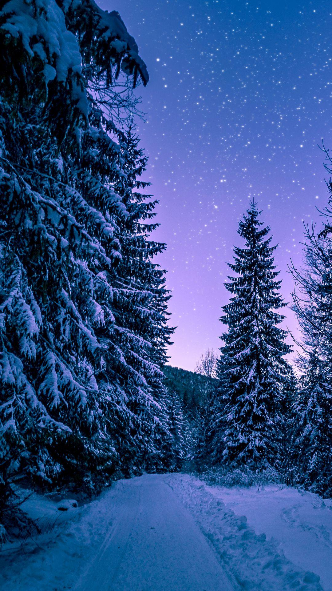 1080x1920 Winter Wallpaper Winter Background Download