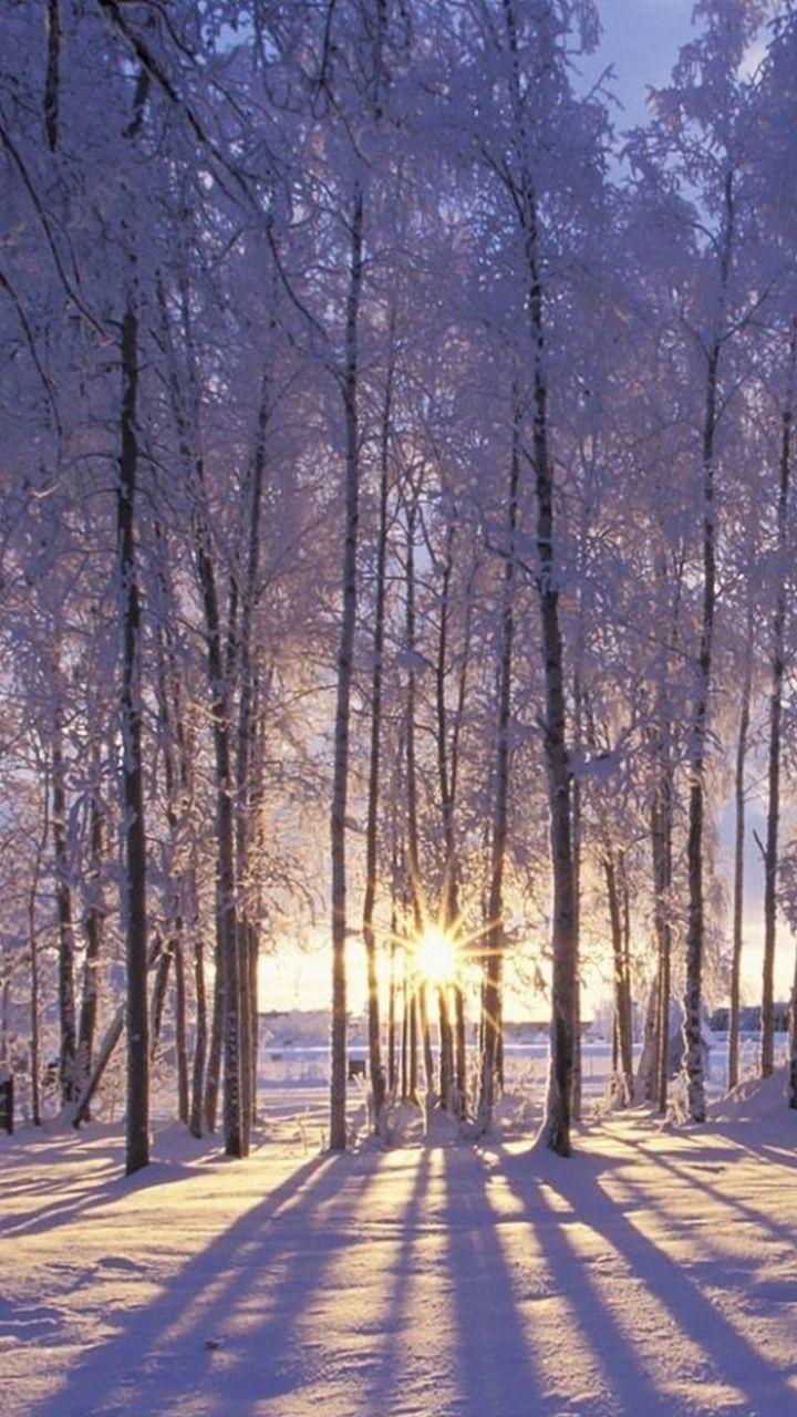 720x1280 Winter Wonderland iPhone Background