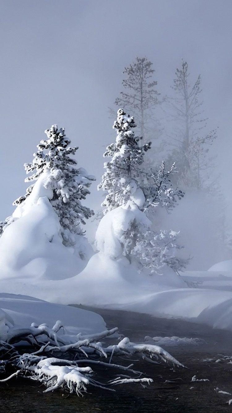 750x1334 Snow iPhone Wallpaper