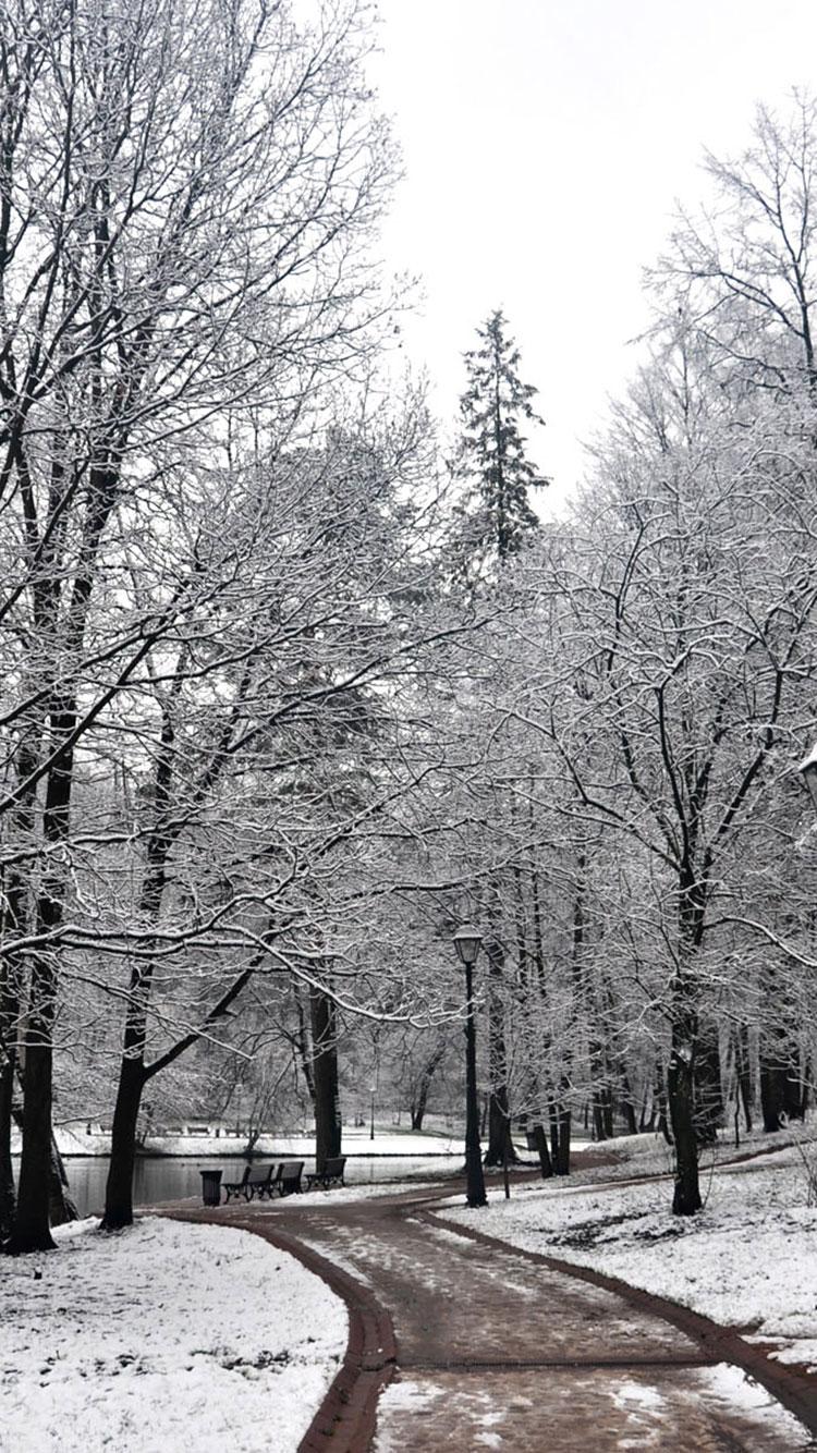 750x1334 Free download 25 Winter iPhone Wallpaper [750x1334] for your Desktop, Mobile & Tablet. Explore Winter iPhone Wallpaper. Animated Winter iPhone Wallpaper, Winter iPhone Wallpaper HD, iPhone Winter Tree Wallpaper