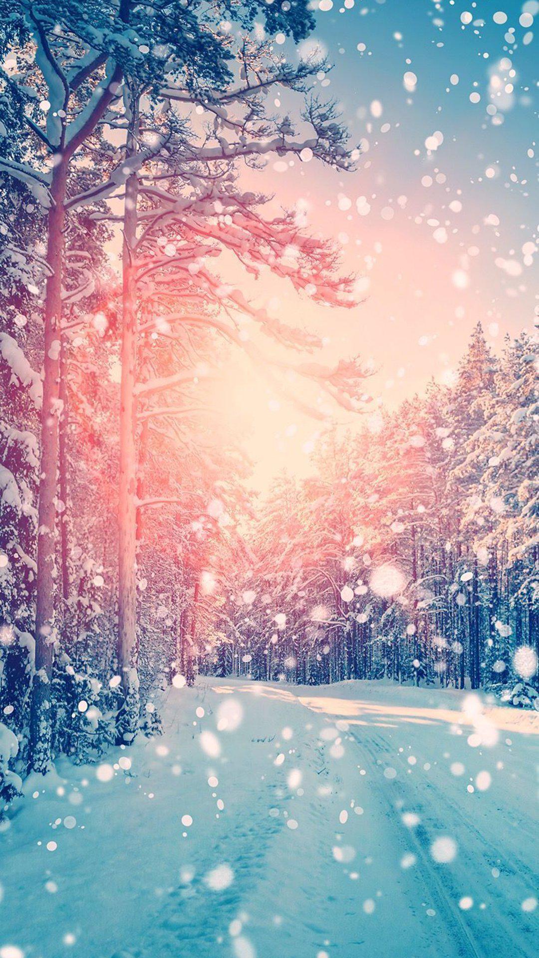 1080x1920 Winter iPhone Wallpaper