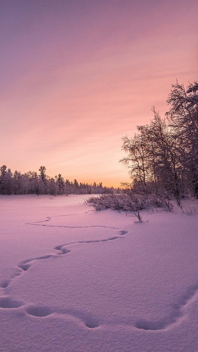 750x1334 iPhone Wallpaper Winter, Snow, Trees, Sunset - Закат Зимой Поле