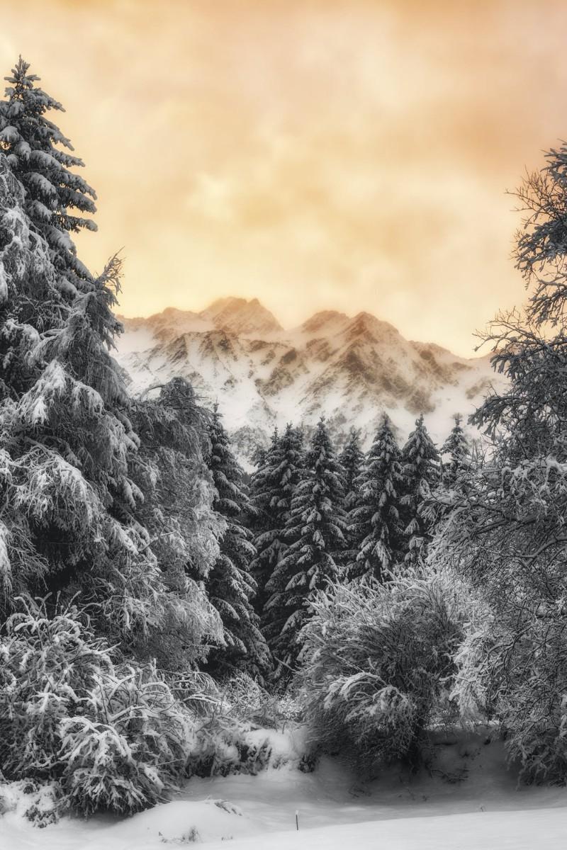 800x1200 Free Beautiful Winter Wallpaper For iPhone That You'll Love