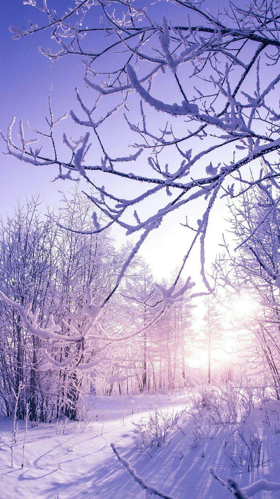 1080x1920 Beautiful Snow IPhone Wallpaper