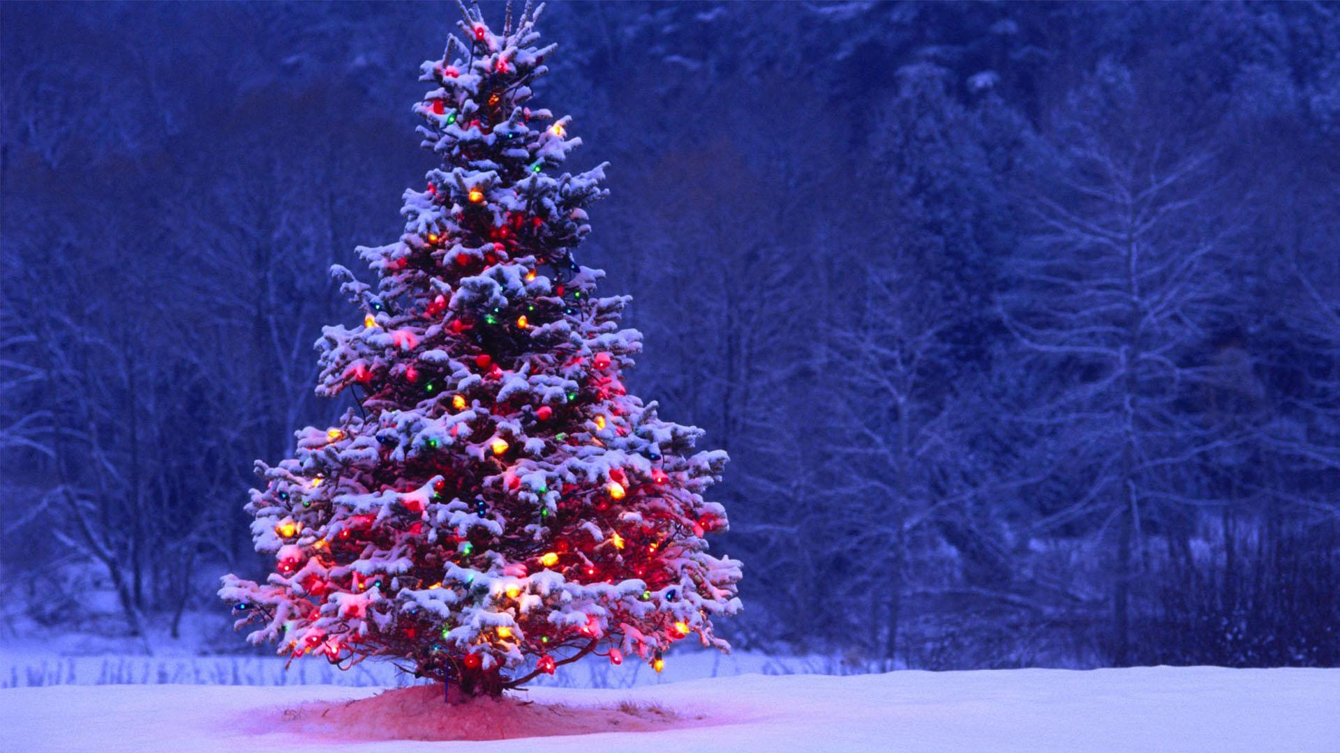 Simple Christmas Tree Wallpapers - Top Free Simple Christmas Tree ...