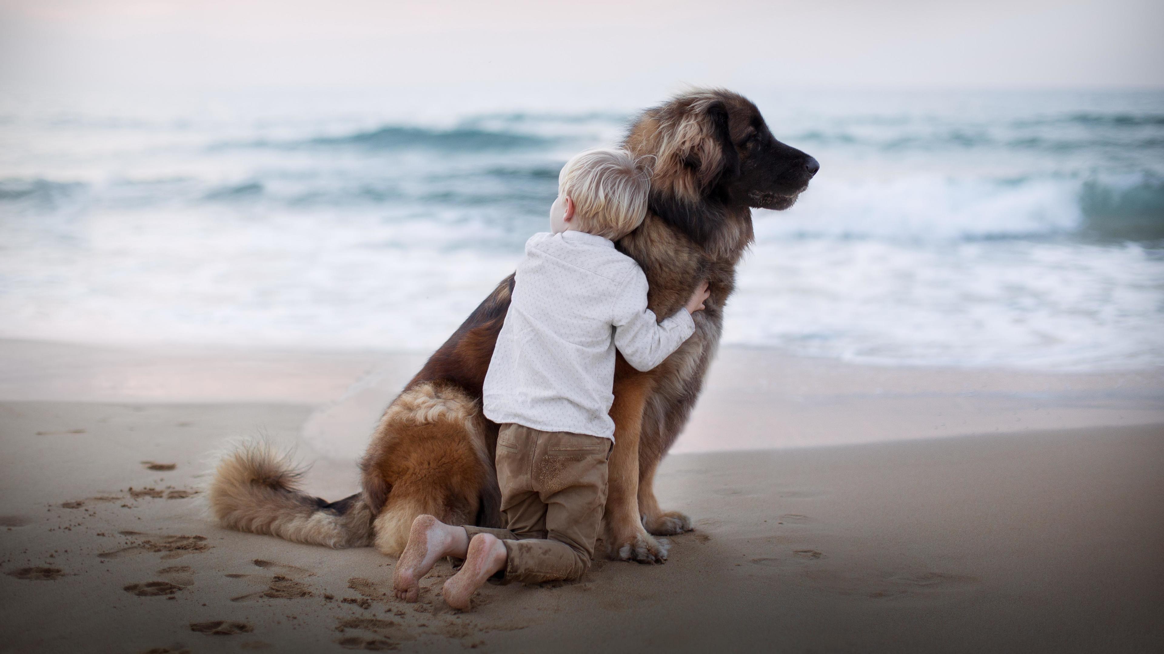 3840x2160 Boy With Dog 5K UltraHD Wallpaper. Wallpaper Studio 10
