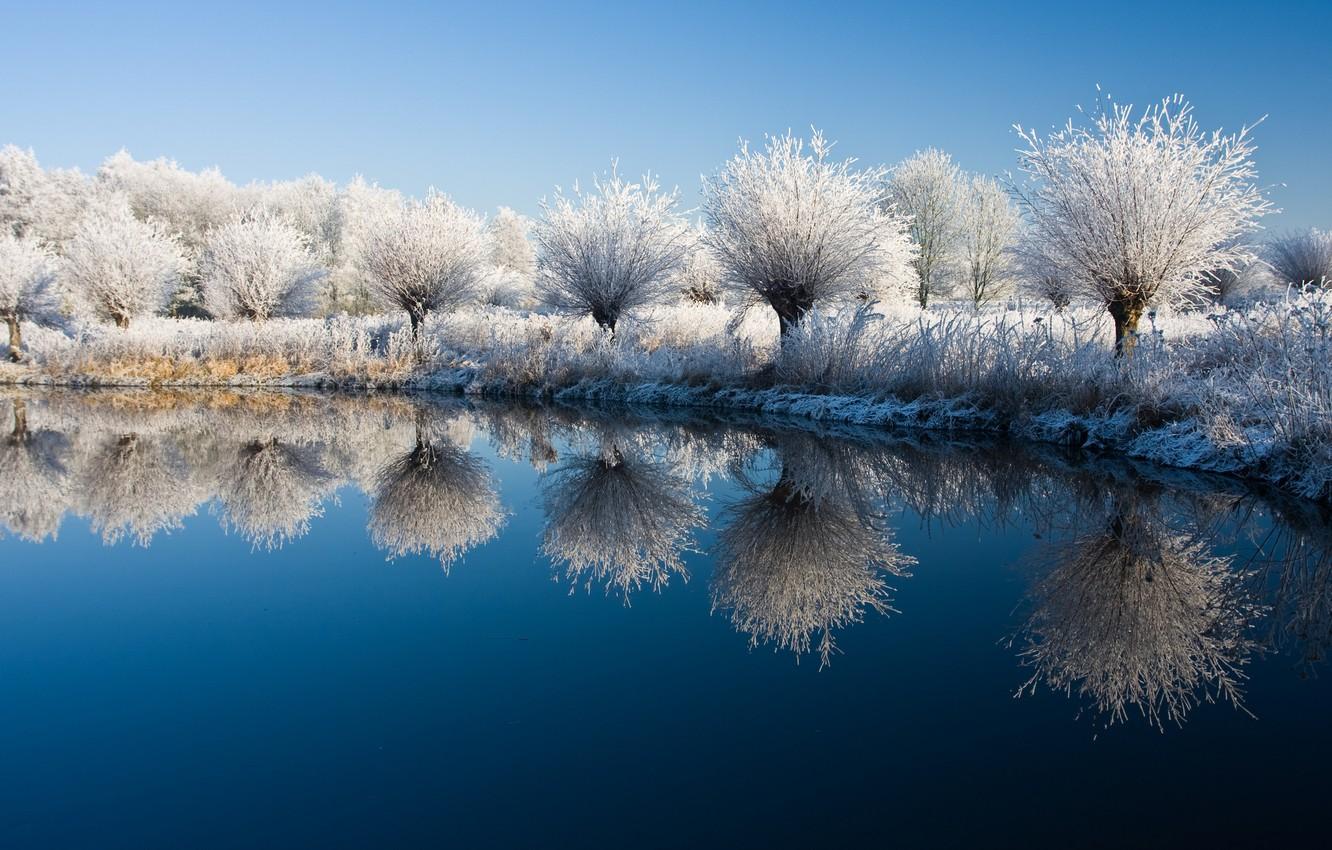 1332x850 Wallpaper trees, nature, lake, tree, landscapes, plants, the bushes, lake, shrubs, winter water image for desktop, section природа