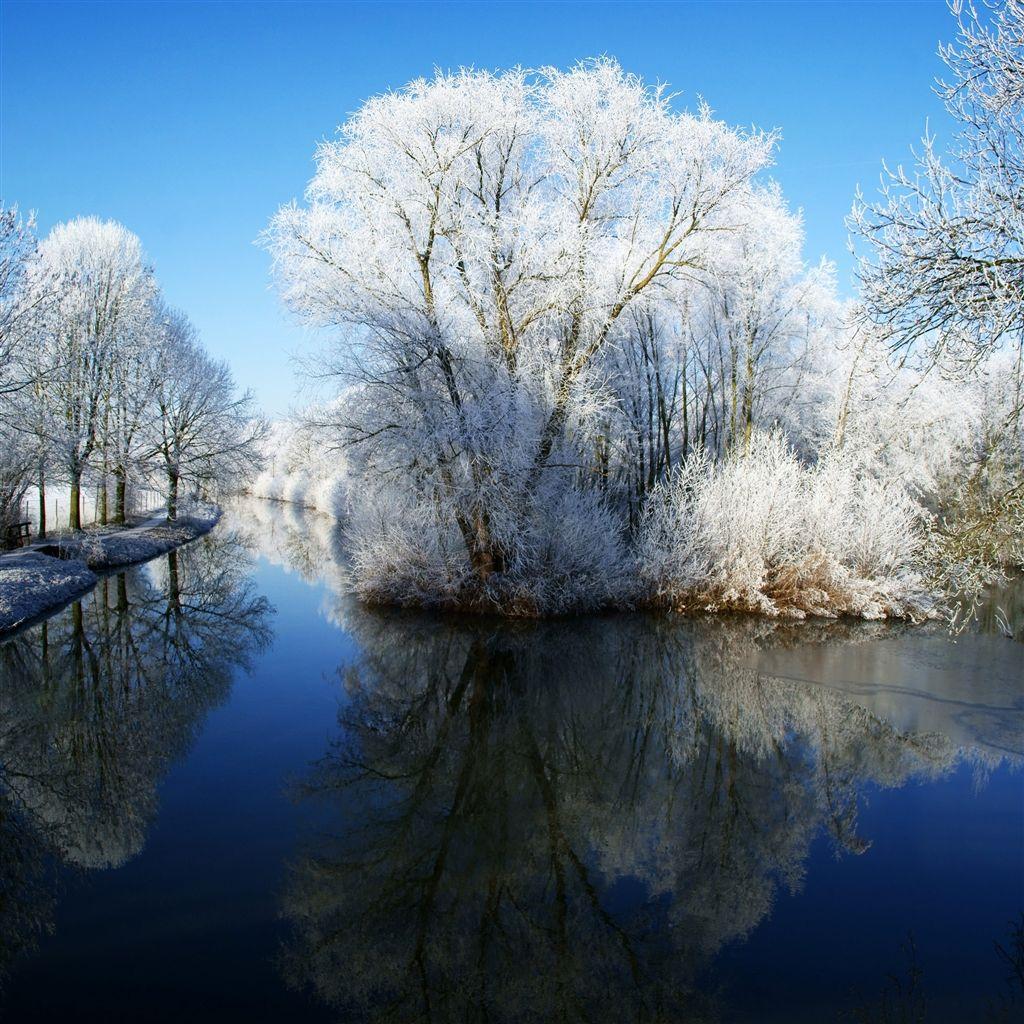 1024x1024 Winter Wonderland #retina #iPad Wallpaper. Many kinds of iPad mini or iPad Air wall. iPad air wallpaper, Winter wonderland picture, Winter wonderland wallpaper