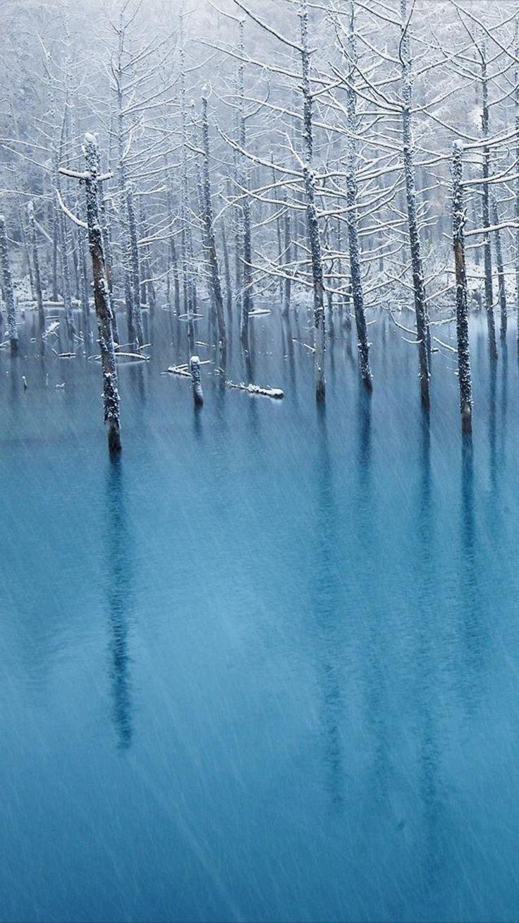 736x1308 Pure Winter Wither Tree Grove Frozen Lake Landscape iPhone 6 Wallpaper Download. iPhone Wallpaper, iPad. Lake landscape, iPhone 6 wallpaper, iPhone 5 wallpaper