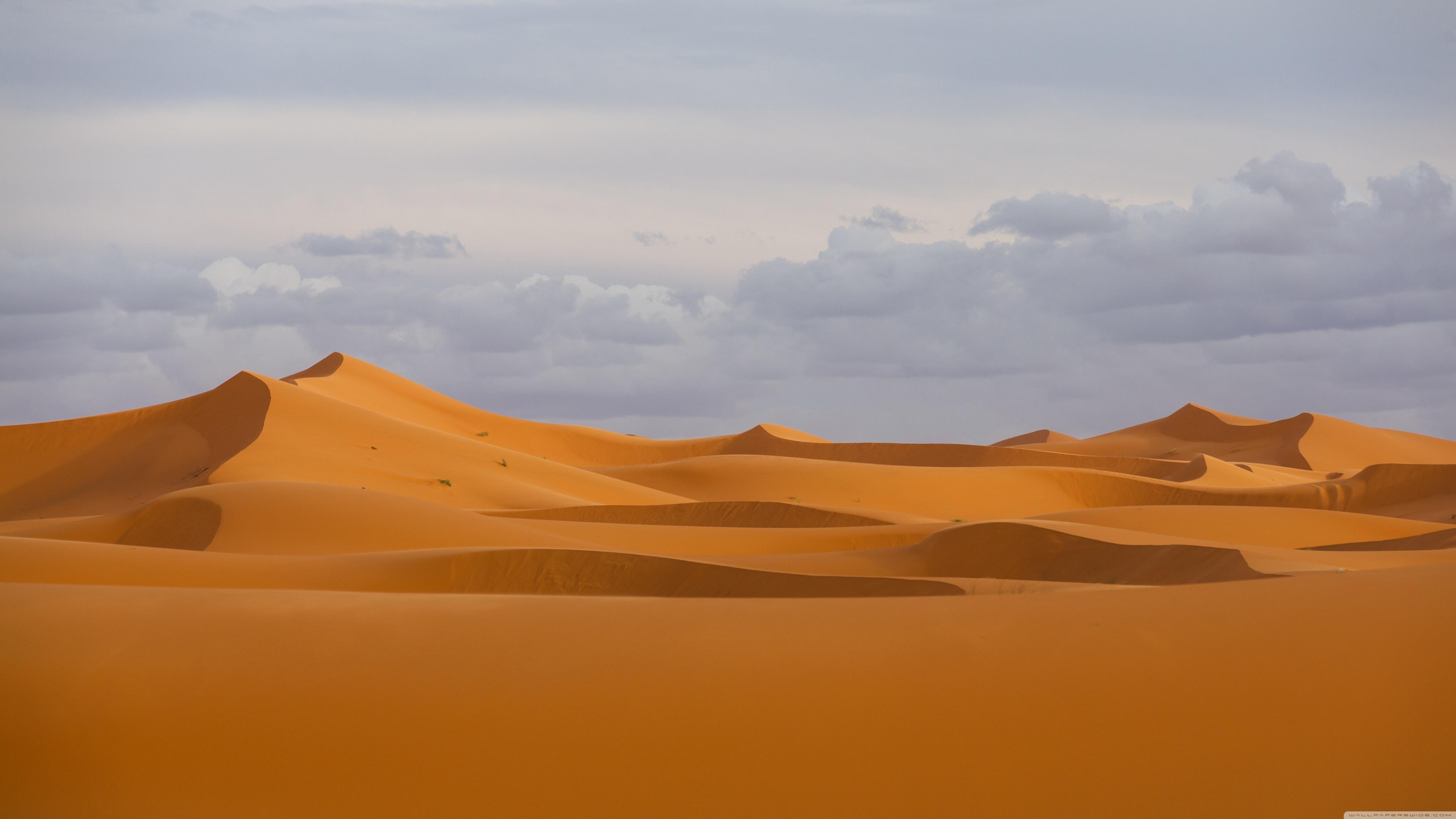 Включи desert. Пустыня. Пустыня фон. Пустыня сахара. Барханы Африки.