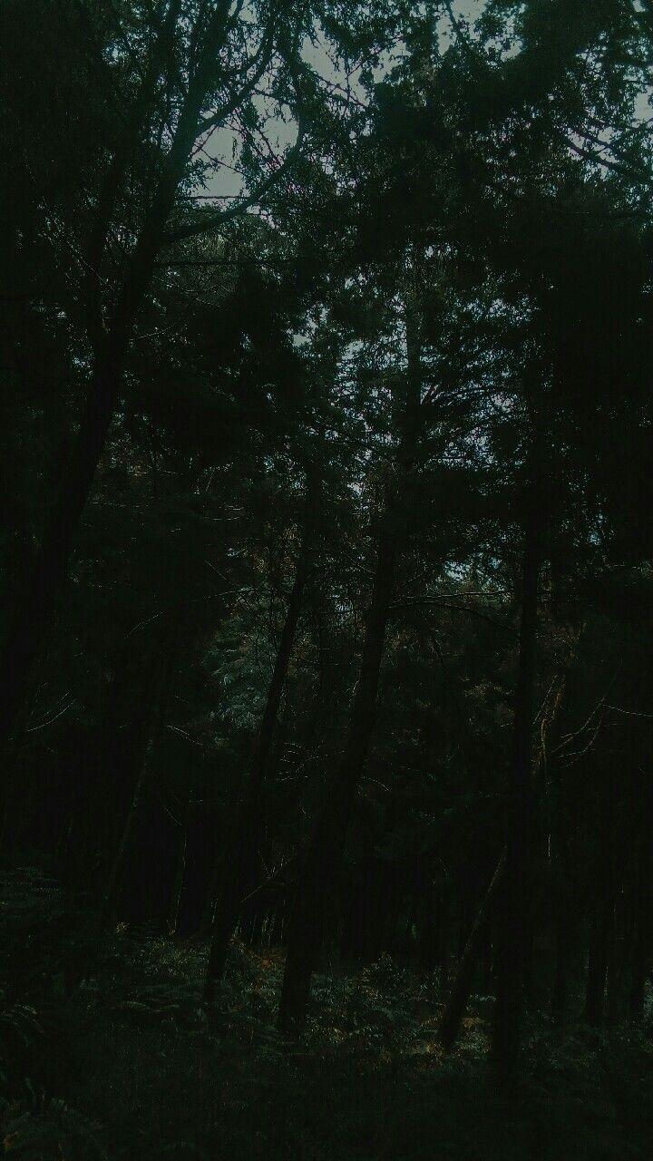 720x1280 Nature #Verde. Dark green aesthetic, Dark green atheistic, Green aesthetic