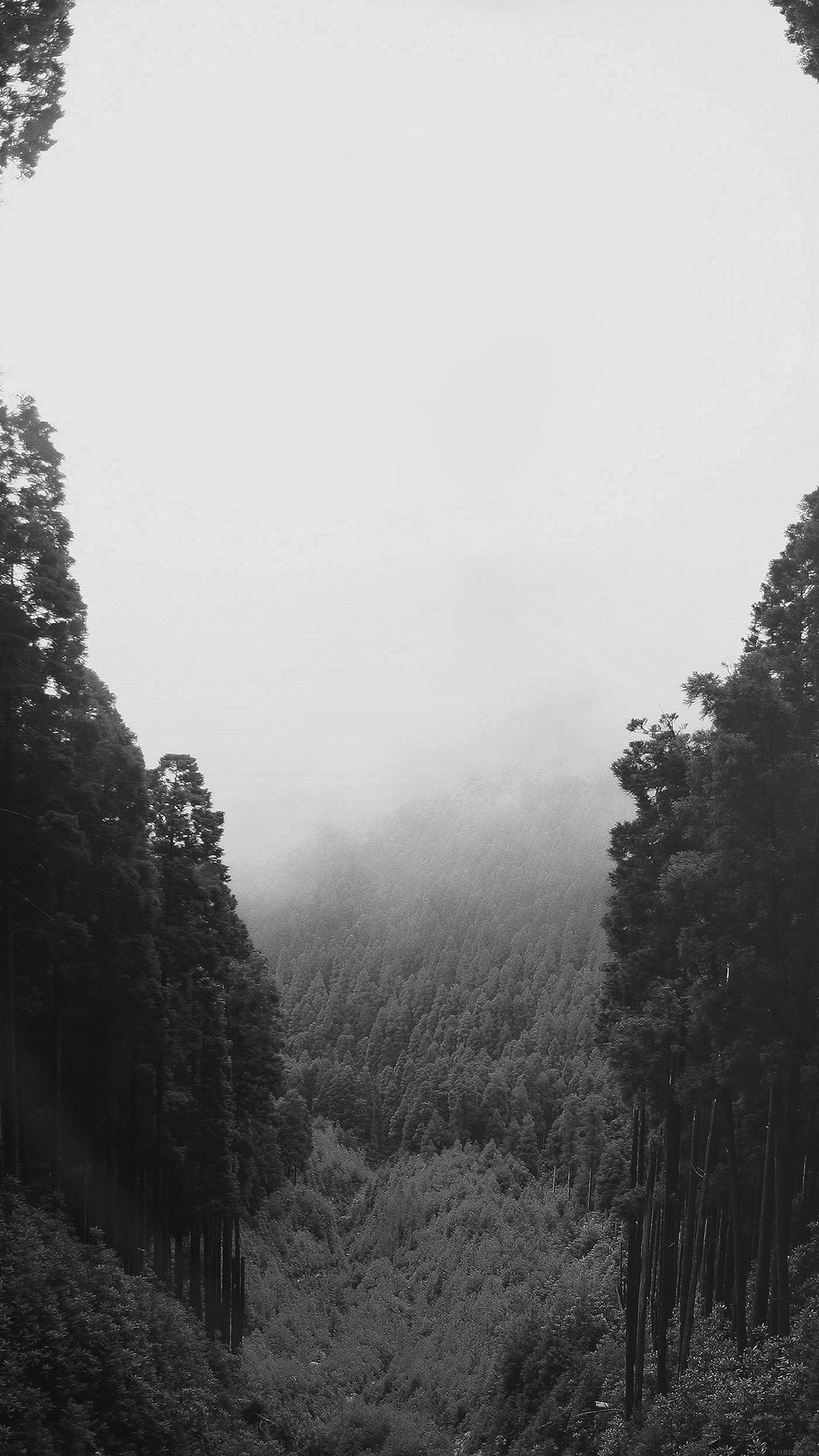 1242x2208 iPhone X wallpaper. mountain mirror green wood nature dark