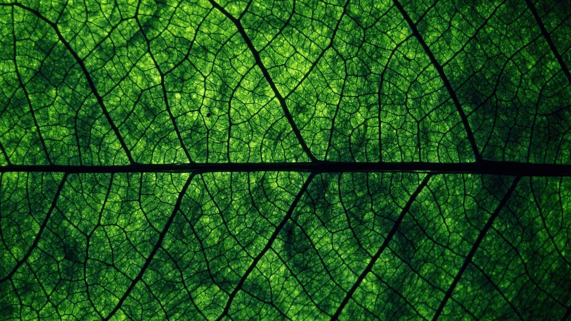 1920x1080 Dark Green HD wallpaper
