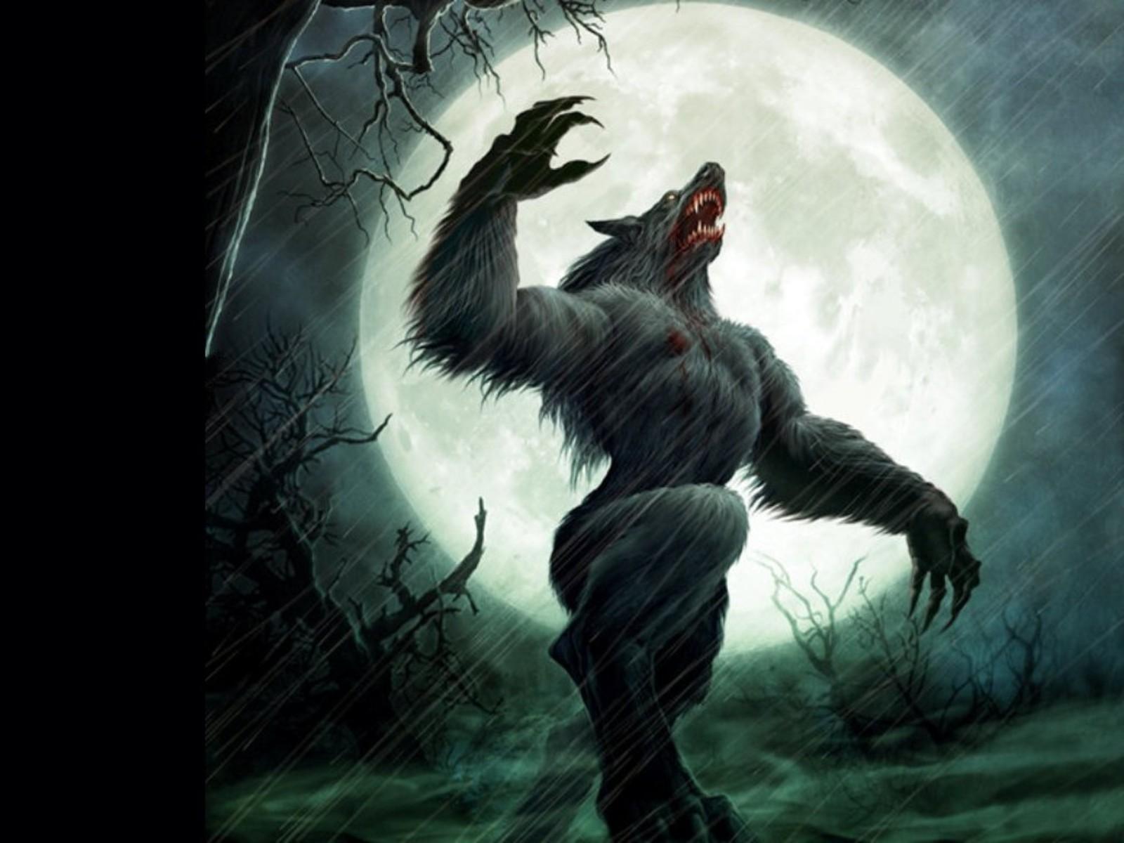 1600x1200 Free download Download Werewolf Wallpaper [1600x1200] for your Desktop, Mobile & Tablet. Explore Werewolves Wallpaper. Classic Werewolf Wallpaper, Ancient Werewolf Wallpaper, 1920 x 1080 Werewolf Wallpaper