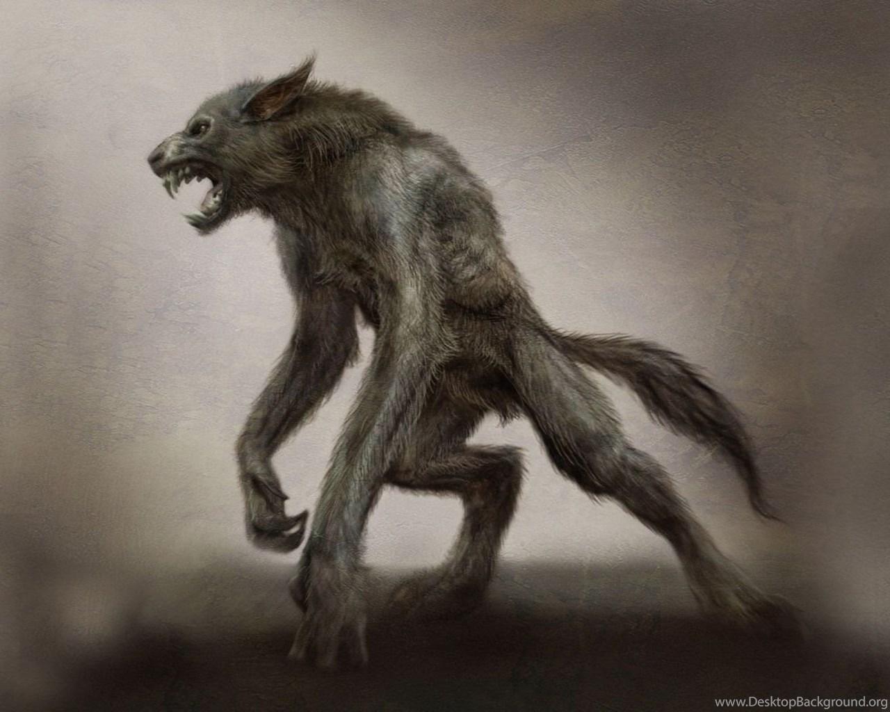 1280x1024 Werewolf Wallpaper Fantasy Wallpaper Desktop Background