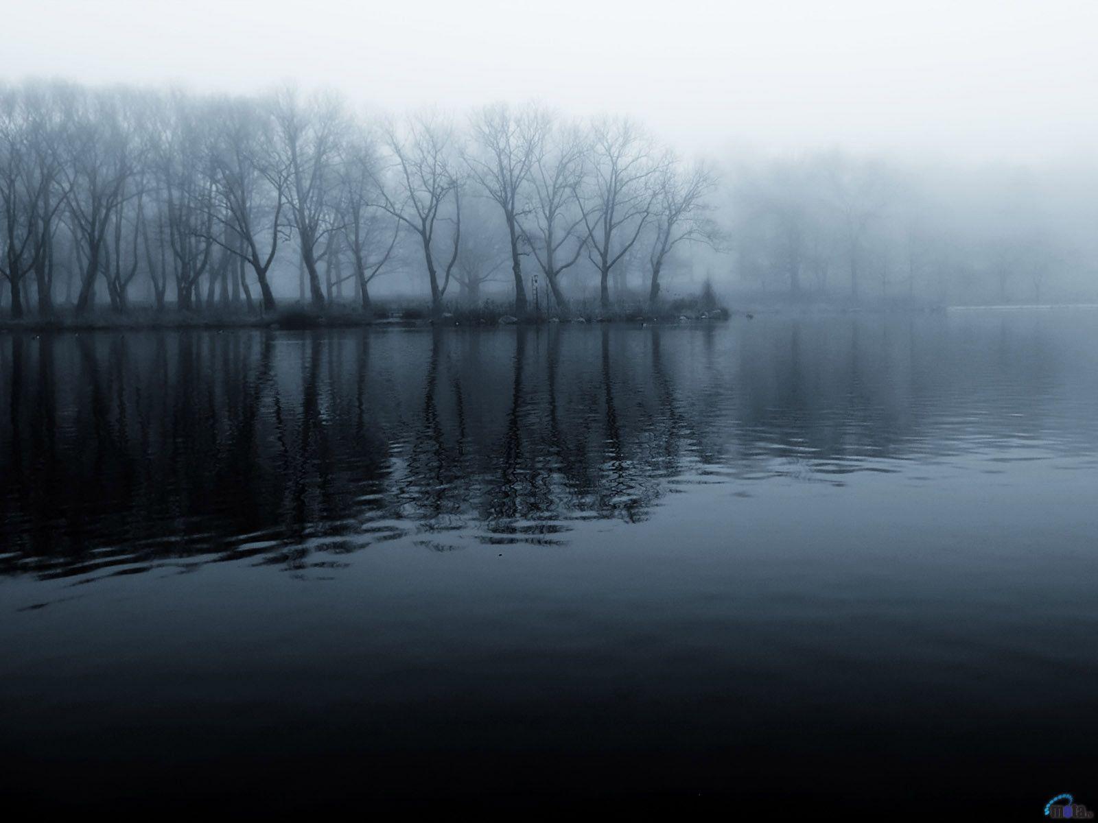 1600x1200 Dark Forest Wallpaper