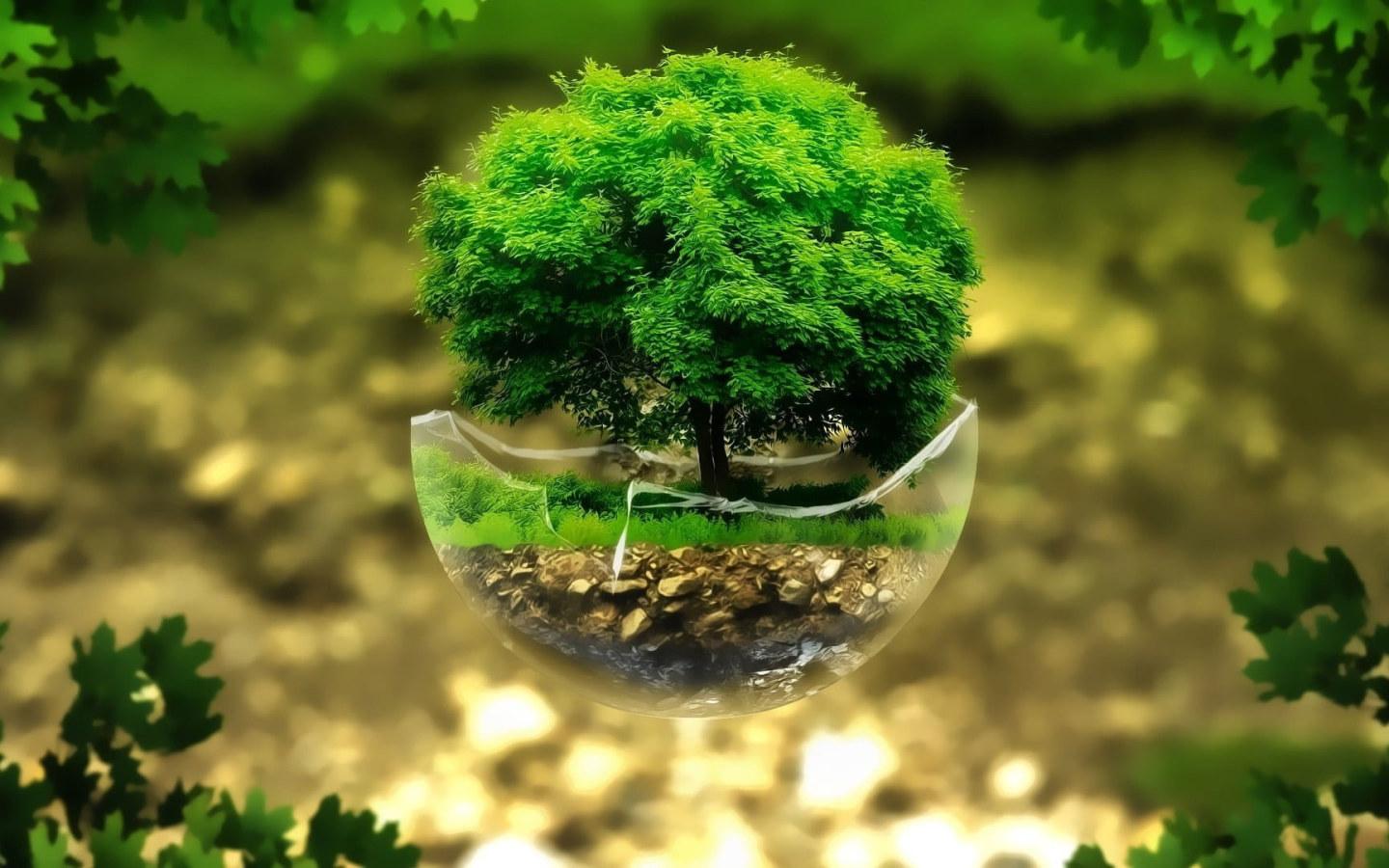 1440x900 Wallpaper Nature Art Green Leaf Tree, Nature, Leaves, Plant • Wallpaper For You