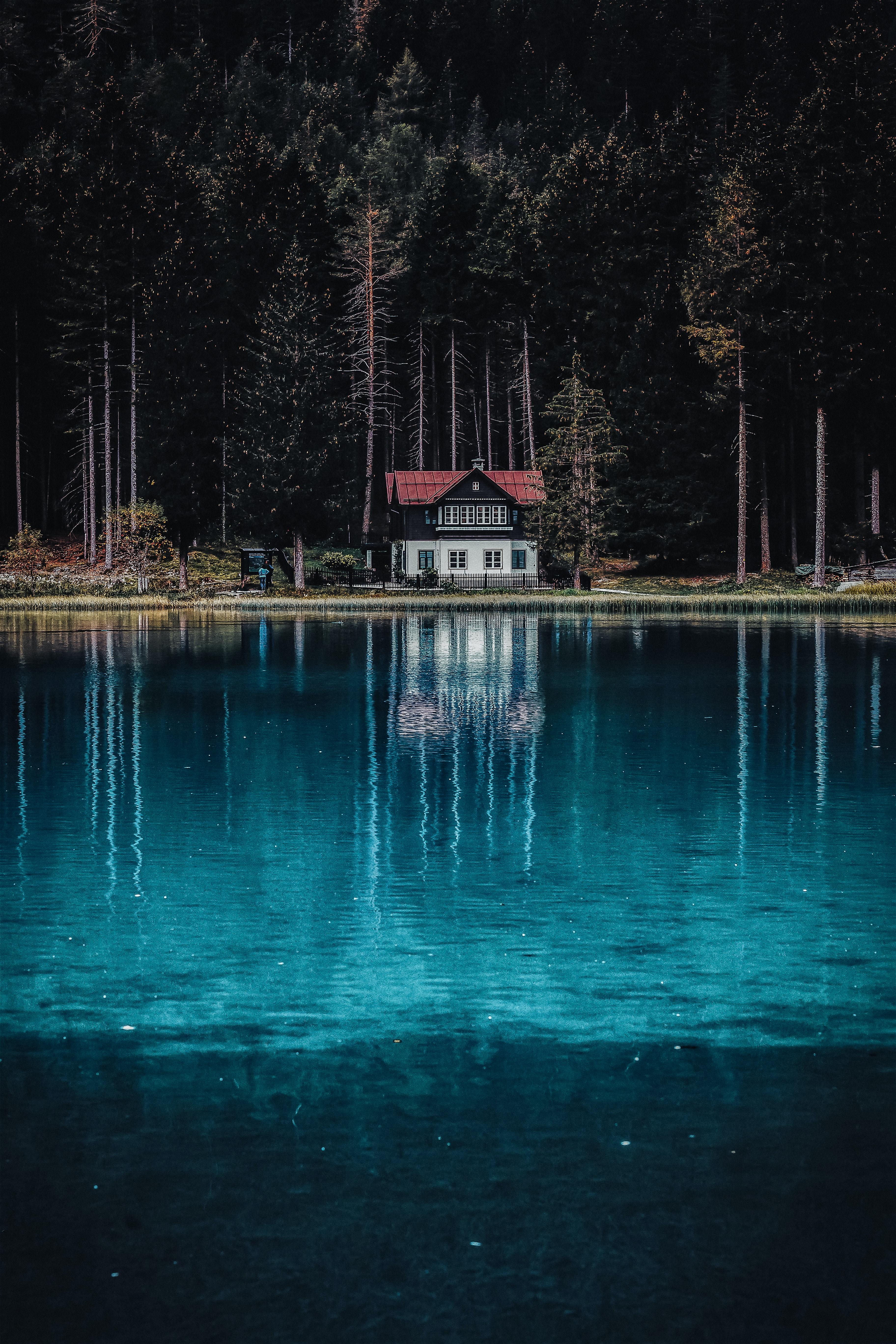 3648x5472 Dark Forest Wallpaper 4K, House, Tall Trees, Woods, Lake, Body of Water, Nature