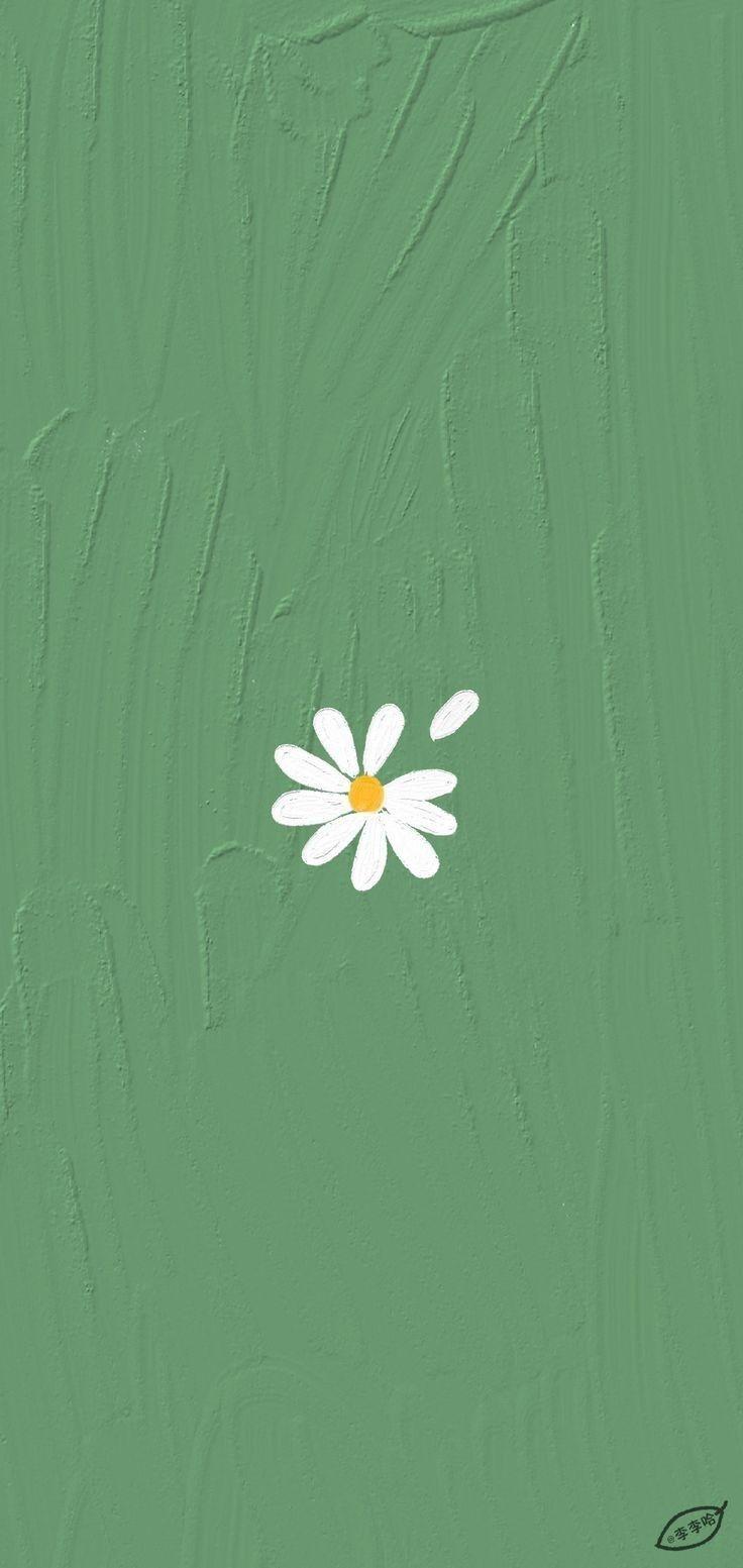 736x1553 Wallpaper With a Green Aesthetic