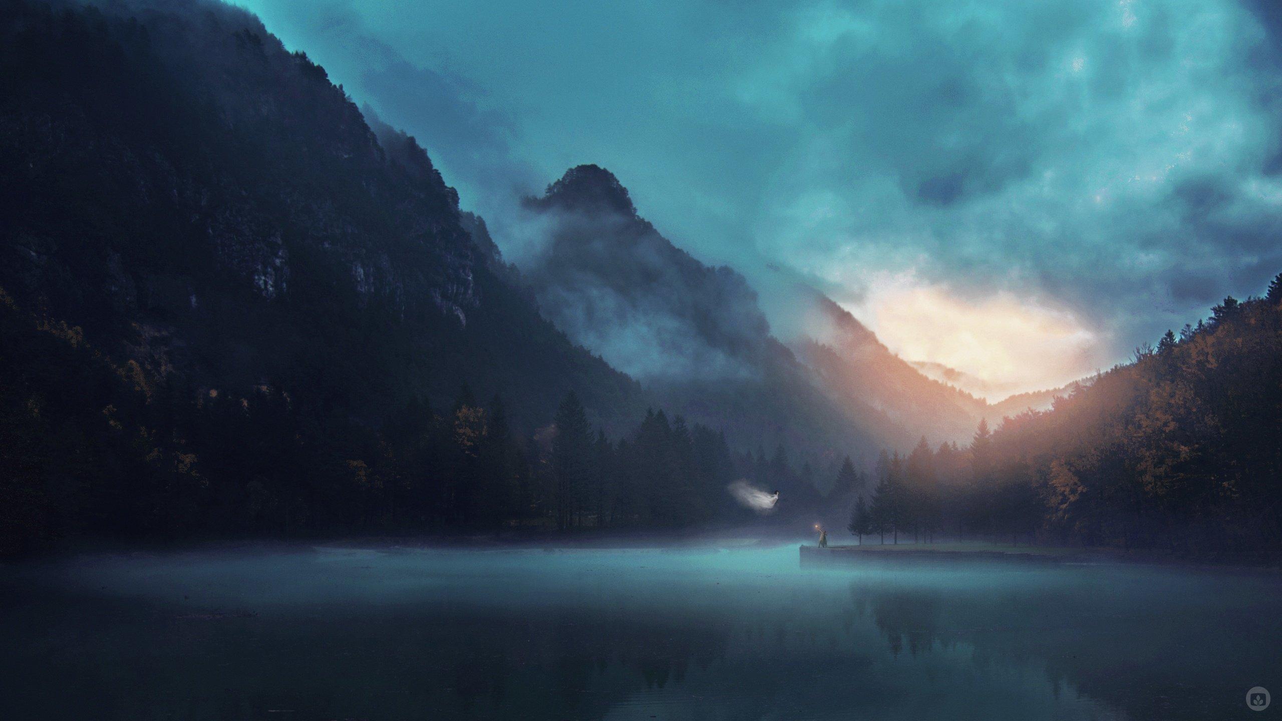 2560x1440 dark forest wallpaper 153