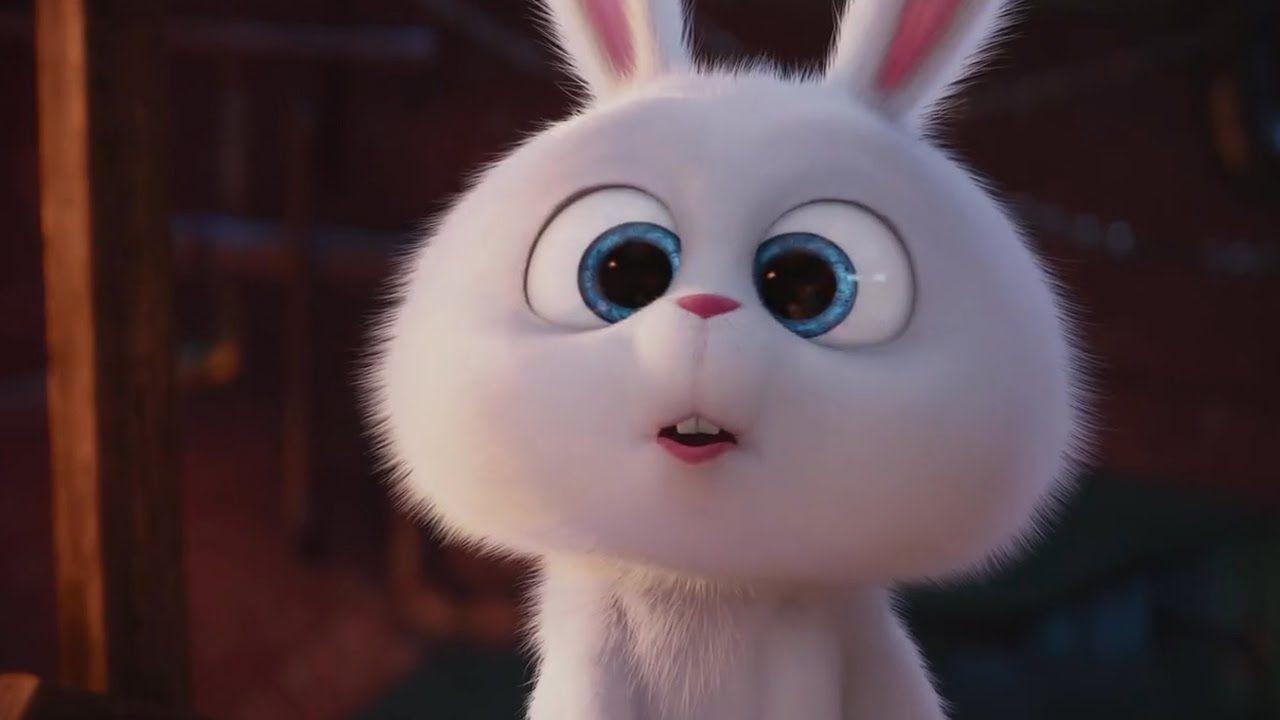 1280x720 The Secret Life Of Pets Funny Moments (HD). Snowball