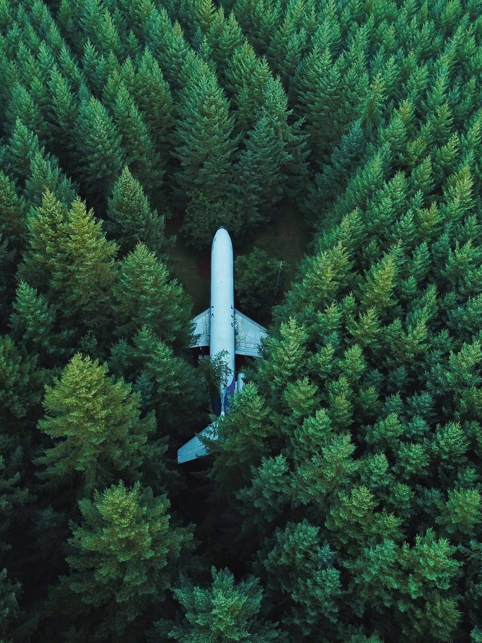1536x2048 Airplane Wallpaper 4K, Green Trees, Aerial view, Forest, Photography