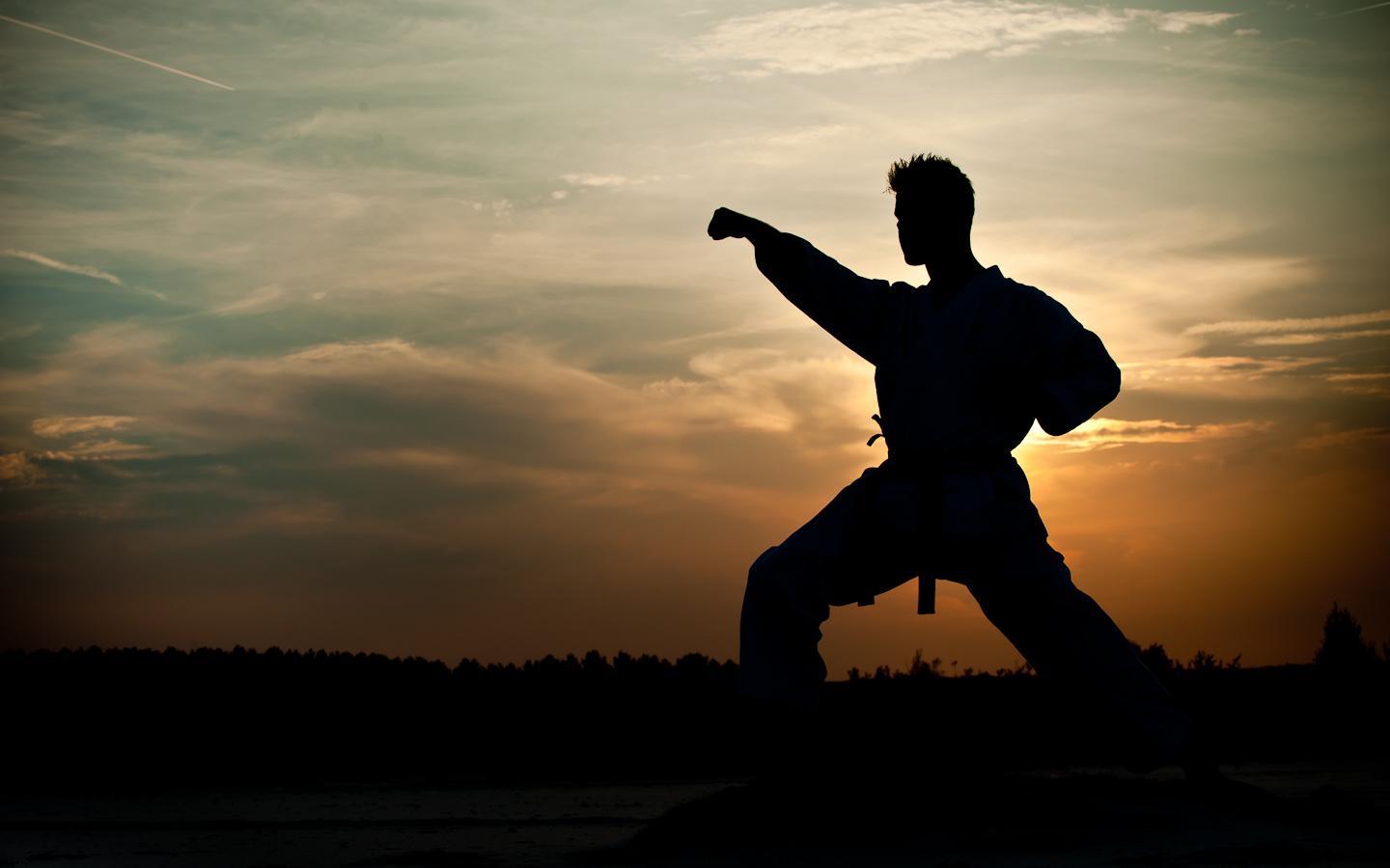 1440x900 Karate Live Wallpaper 1.30 APK Download Personalization Apps