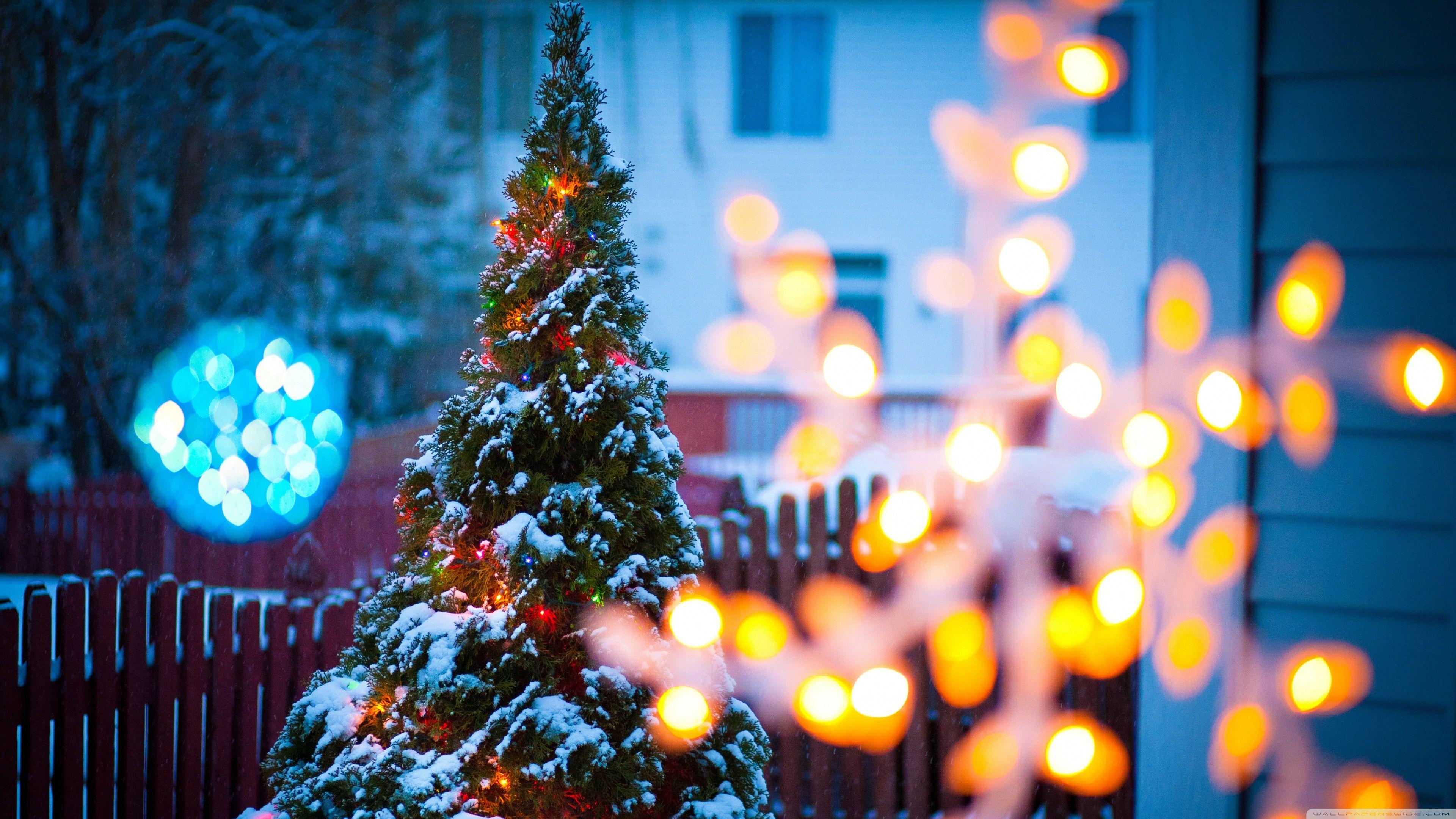 Desktop Wallpaper 4k Christmas 4k Christmas Tree Wallpapers High 