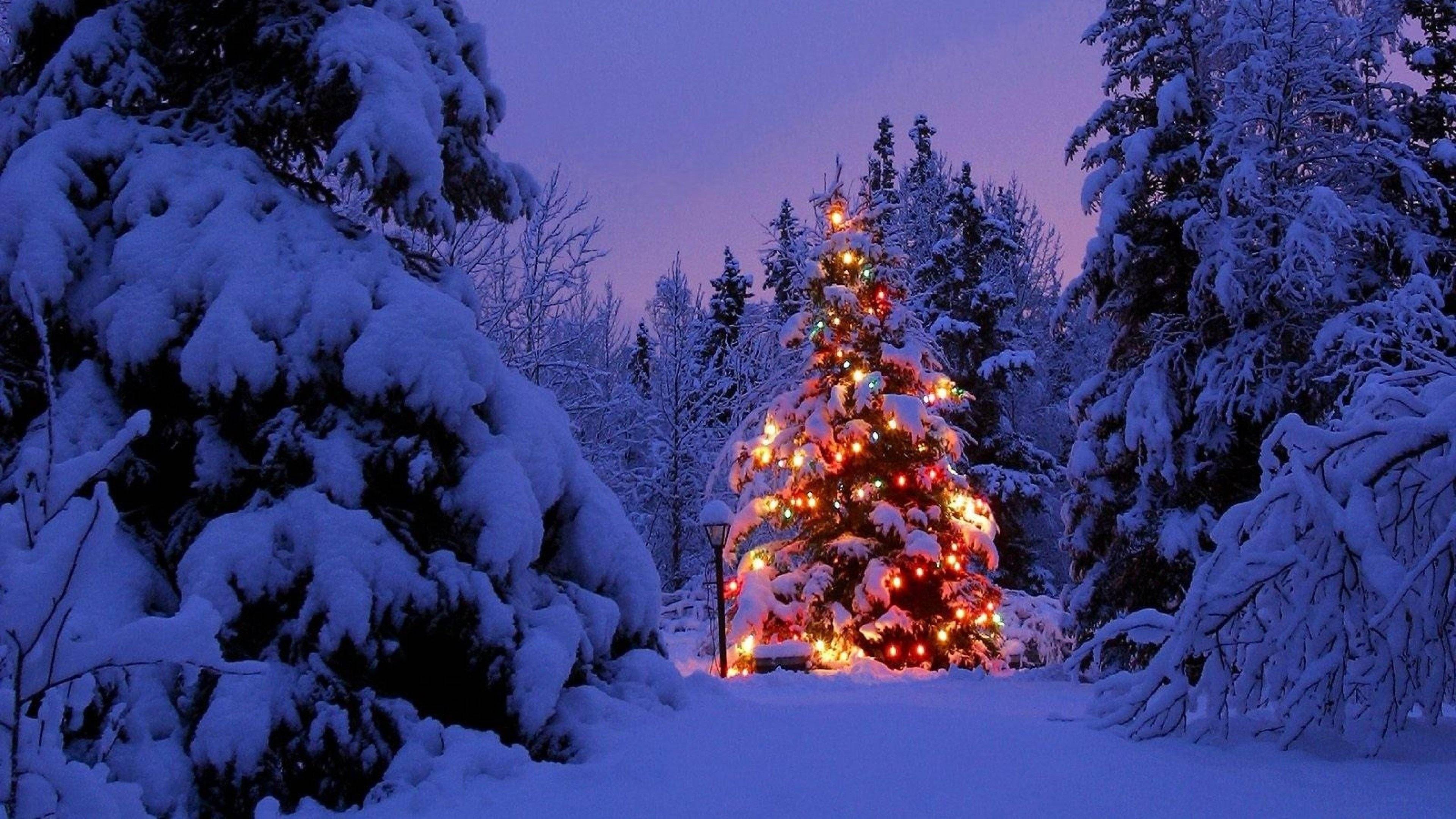4K Holiday Wallpapers Top Free 4K Holiday Backgrounds WallpaperAccess