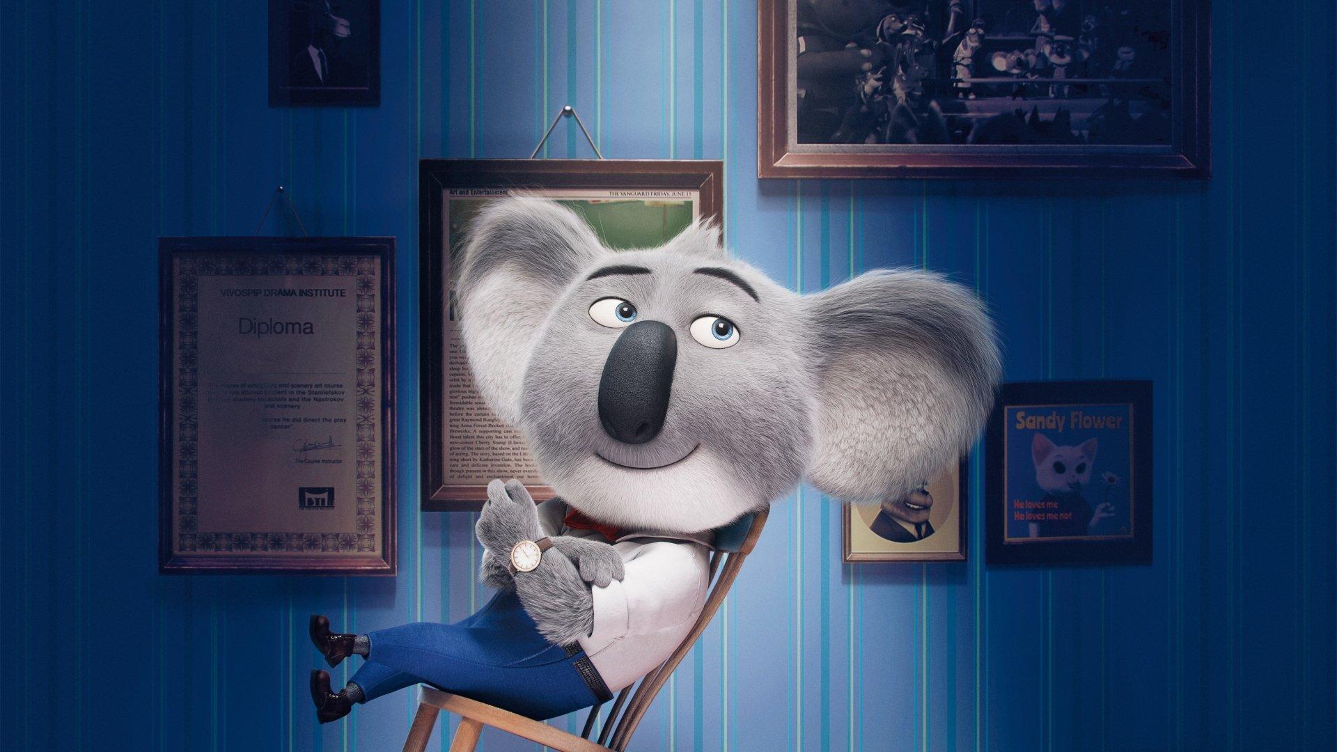 1920x1080 Koala HD Wallpaper and Background Image