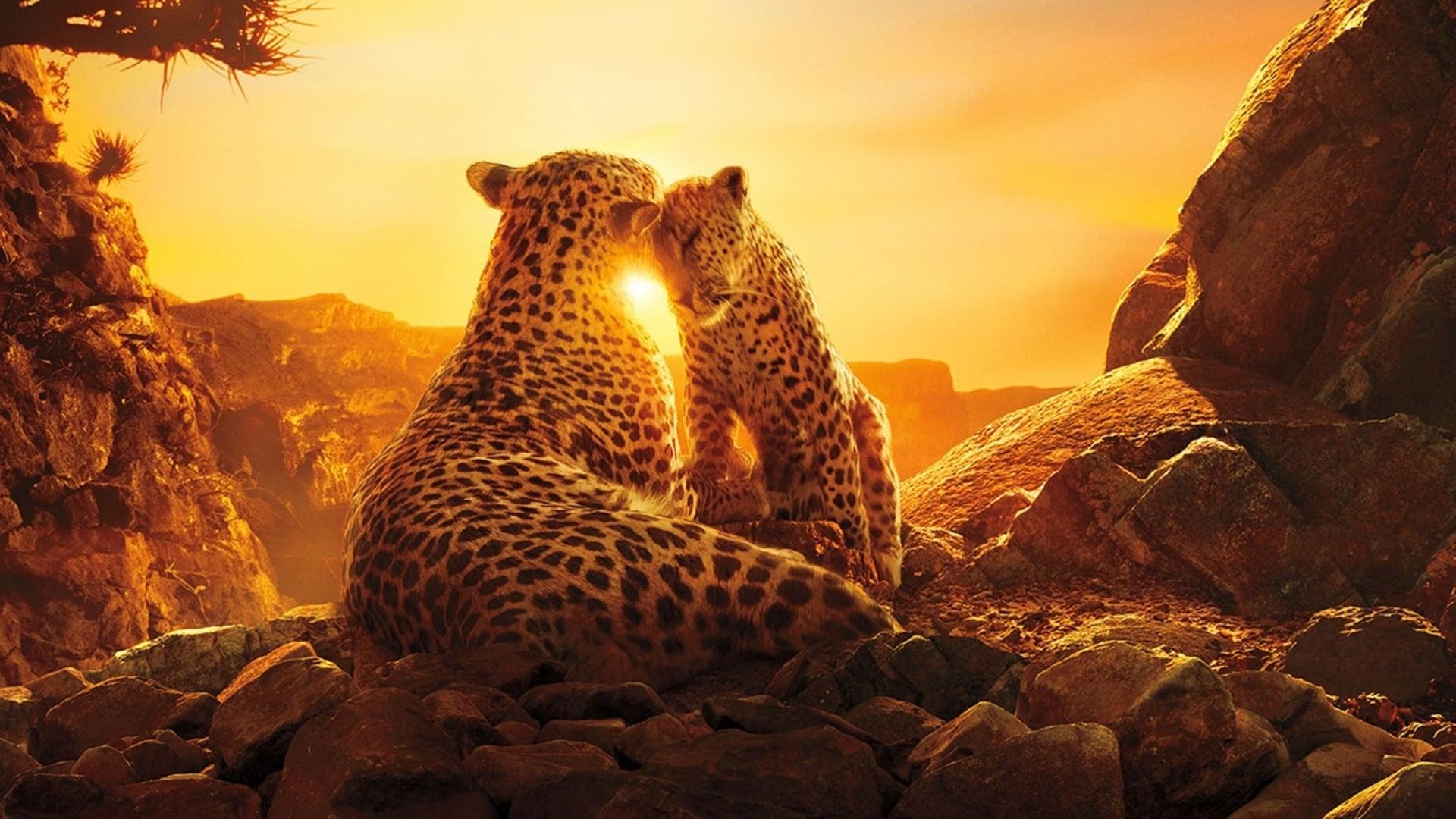 1920x1080 Our Planet (TV Series 2019 2019)
