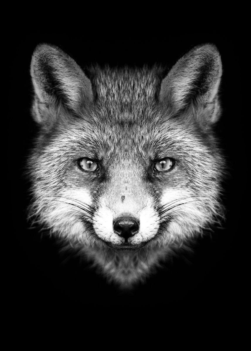 857x1200 red FOX head black white ' Poster