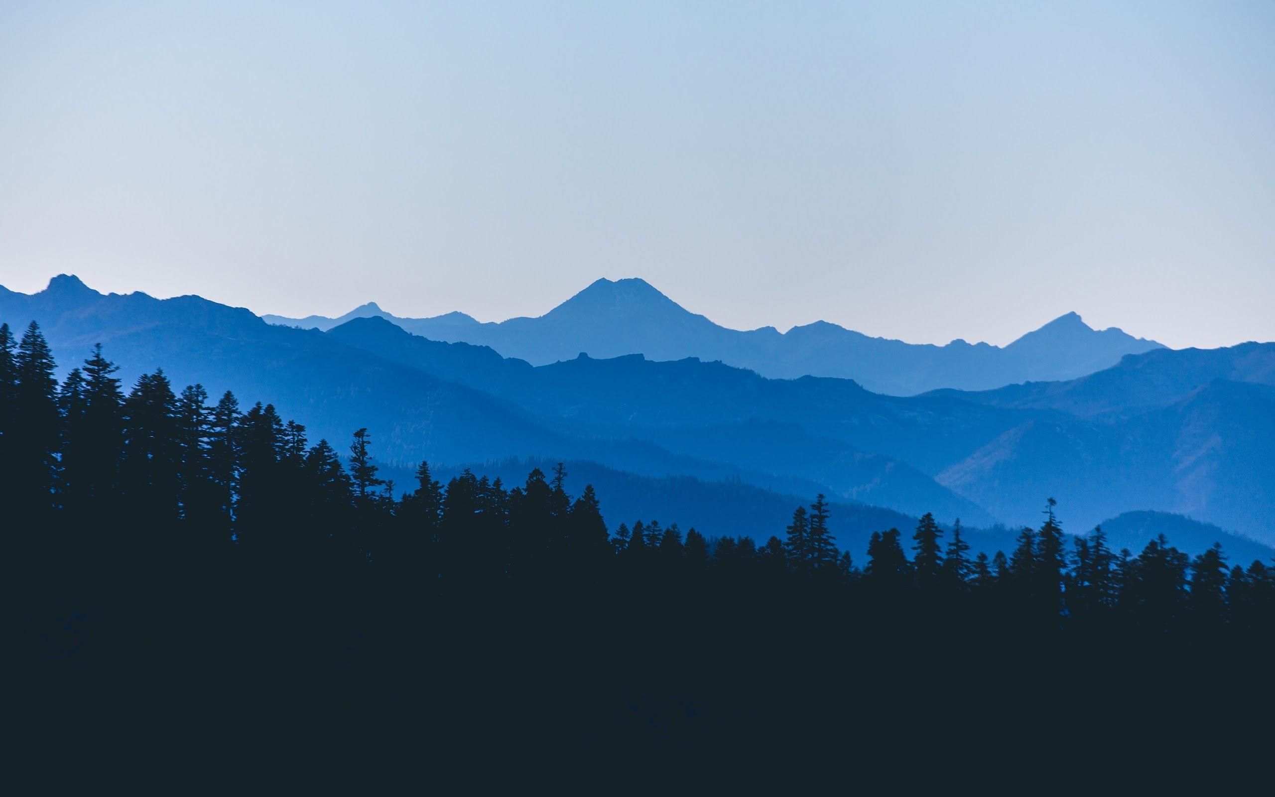 2560x1600 Mountain Landscape Forest Scenery 4K Wallpaper