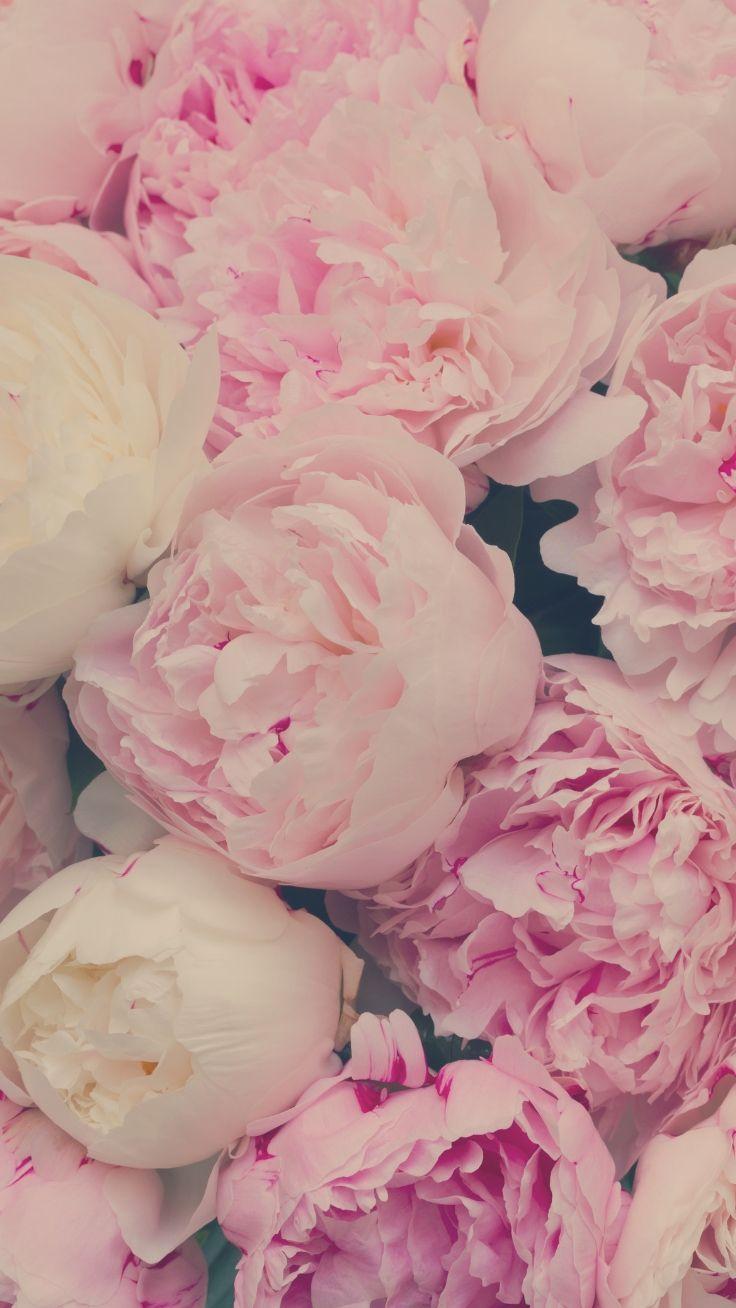 736x1308 Super Pretty iPhone 8 Plus Wallpaper. Preppy Wallpaper. iPhone wallpaper preppy, Floral wallpaper iphone, Pretty wallpaper iphone