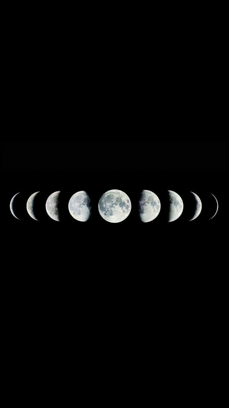 736x1309 Black Moon Aesthetic Wallpaper