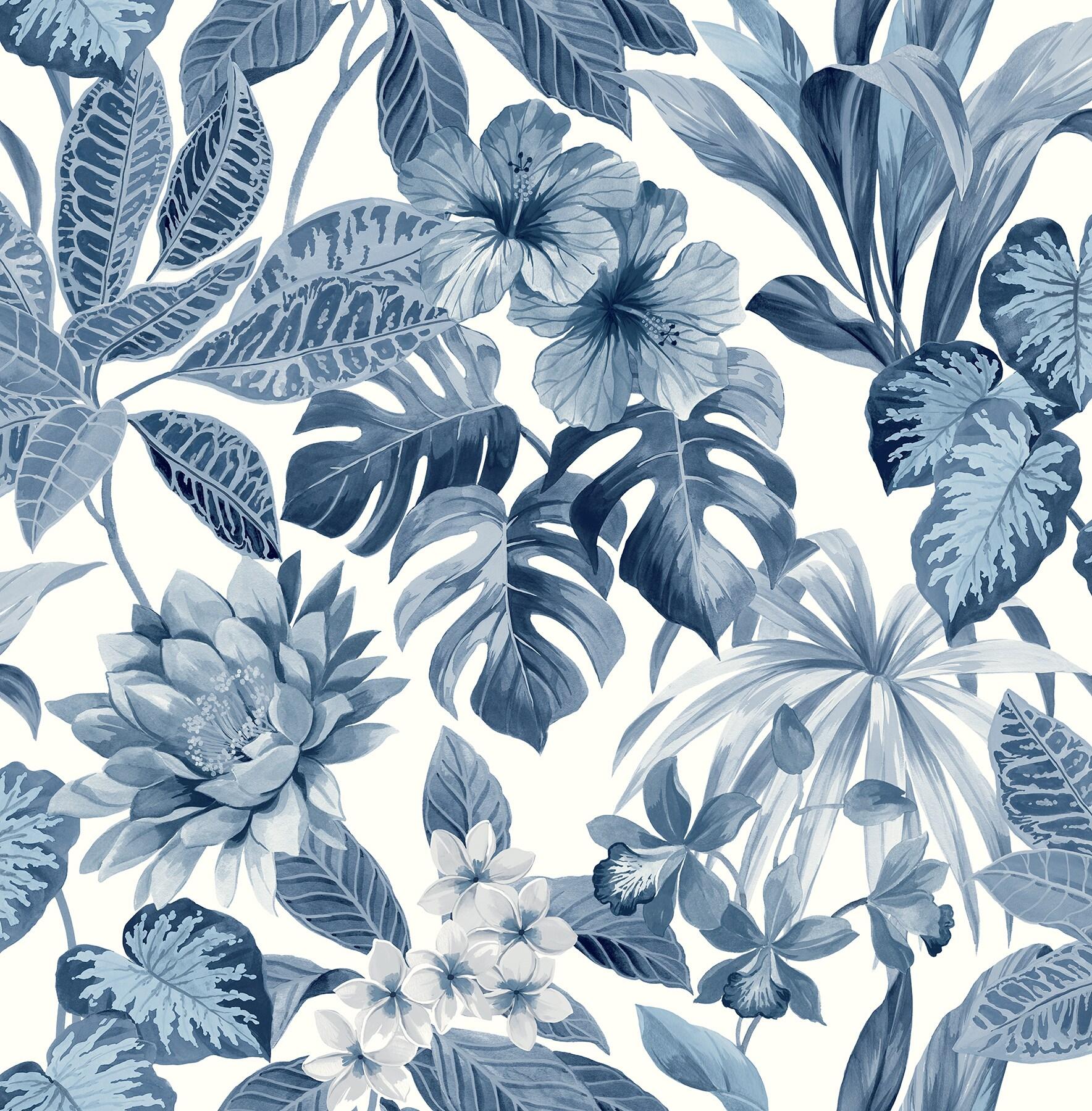 Blue Tropical Wallpapers Top Free Blue Tropical Backgrounds