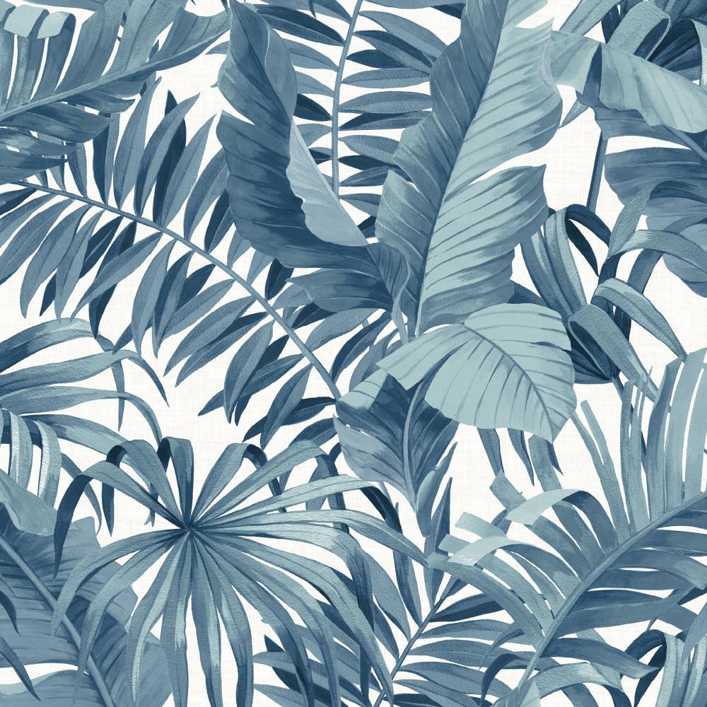 Blue Tropical Wallpapers - Top Free Blue Tropical Backgrounds