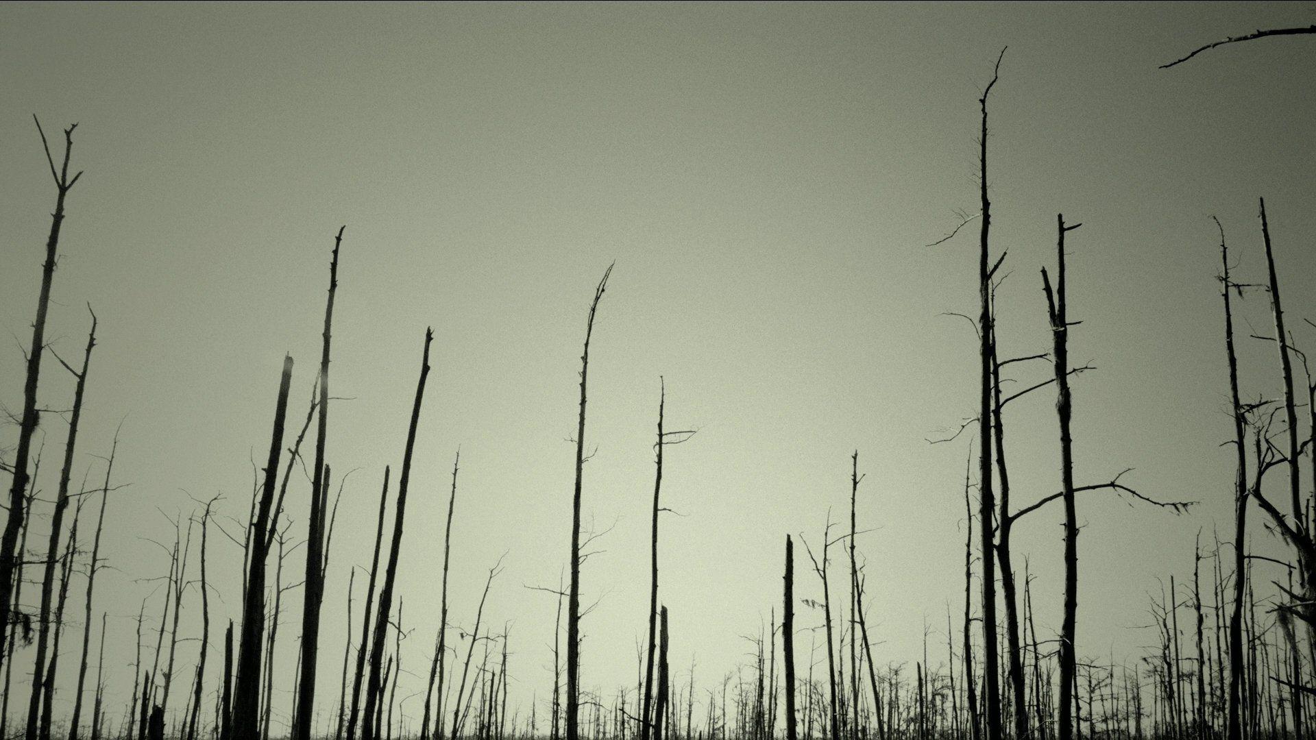 1920x1080 industrial, desktop wallpaper, metal, nails, nineinchnails, nin
