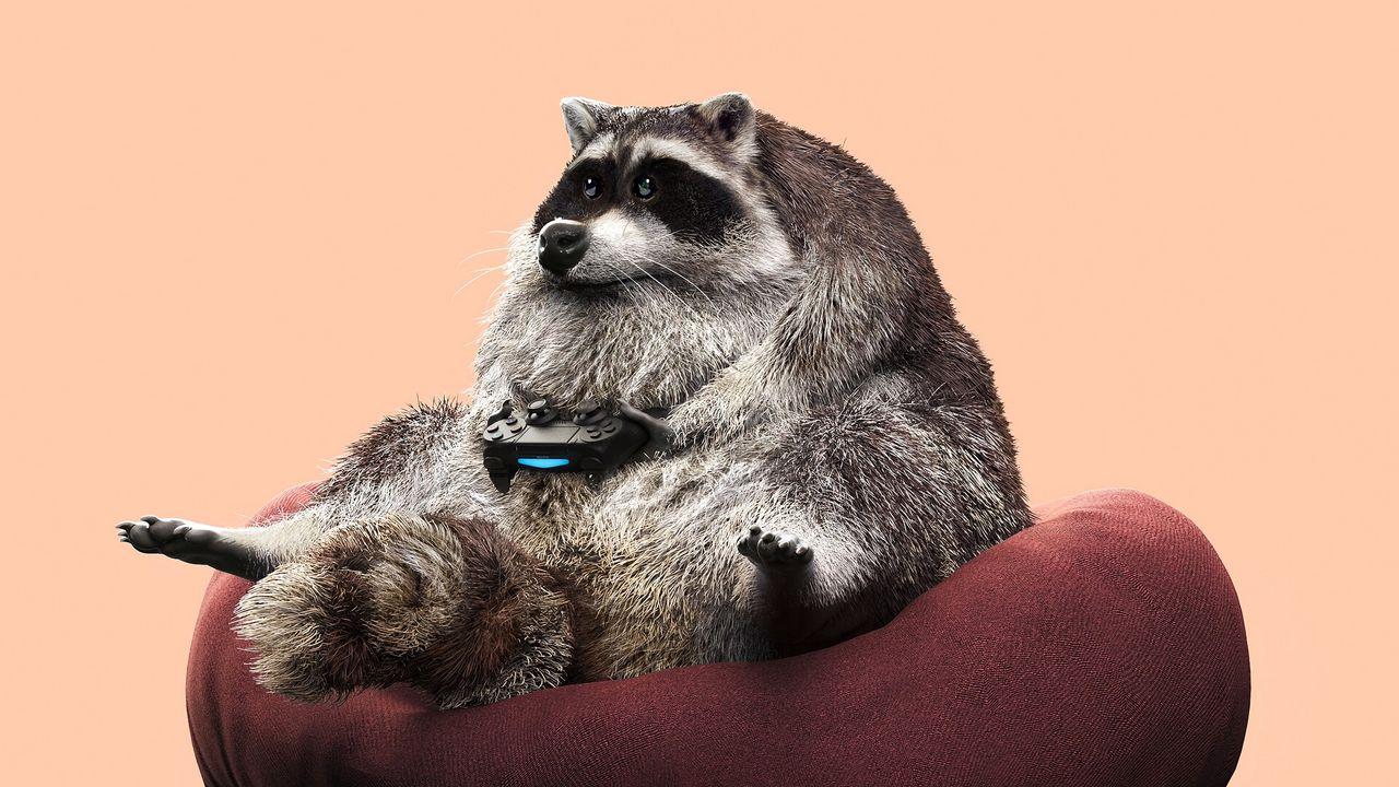 1280x720 Wallpaper raccoon, joystick, funny, gamepad, game hd, picture, image