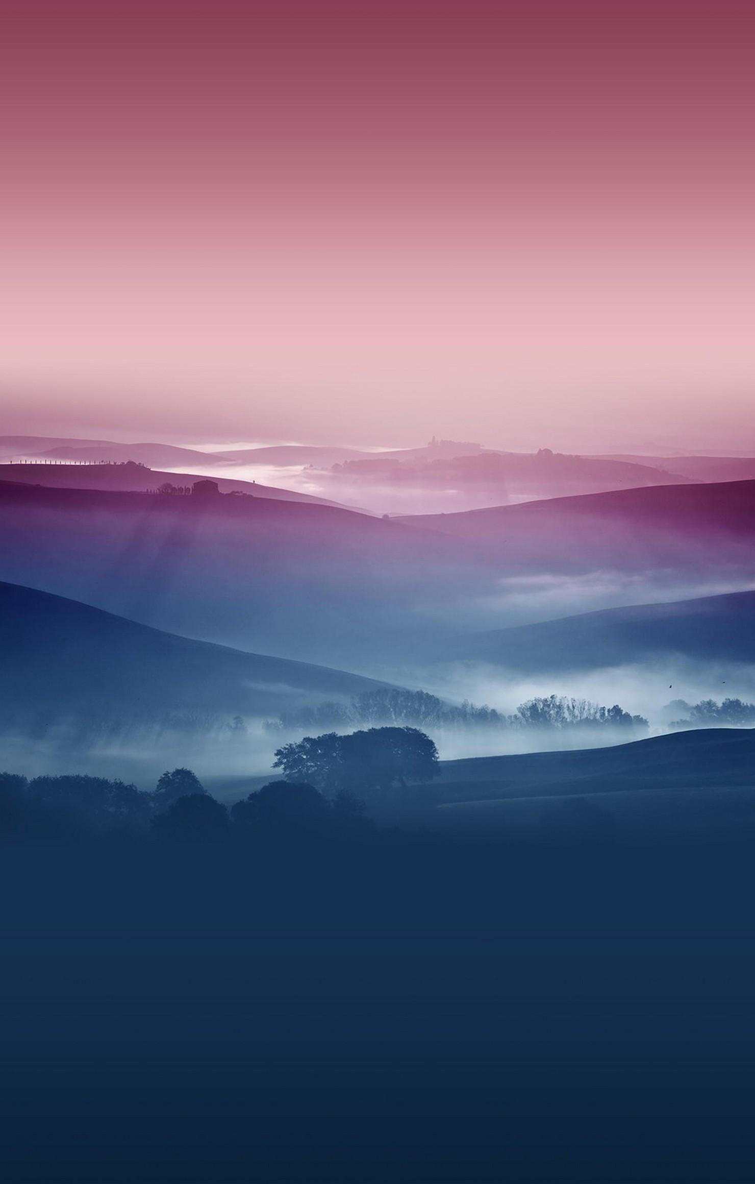 1480x2320 Violet Blue Landscape Fog Tree iPhone Wallpaper Retina Wallpaper For Mobile