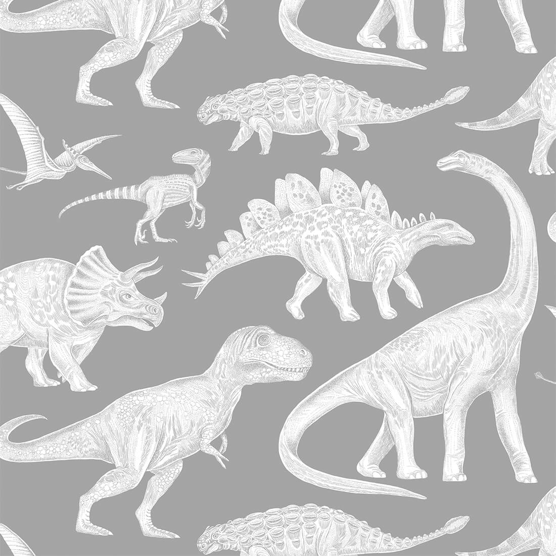 Kids Dinosaur Wallpapers Top Free Kids Dinosaur Backgrounds WallpaperAccess