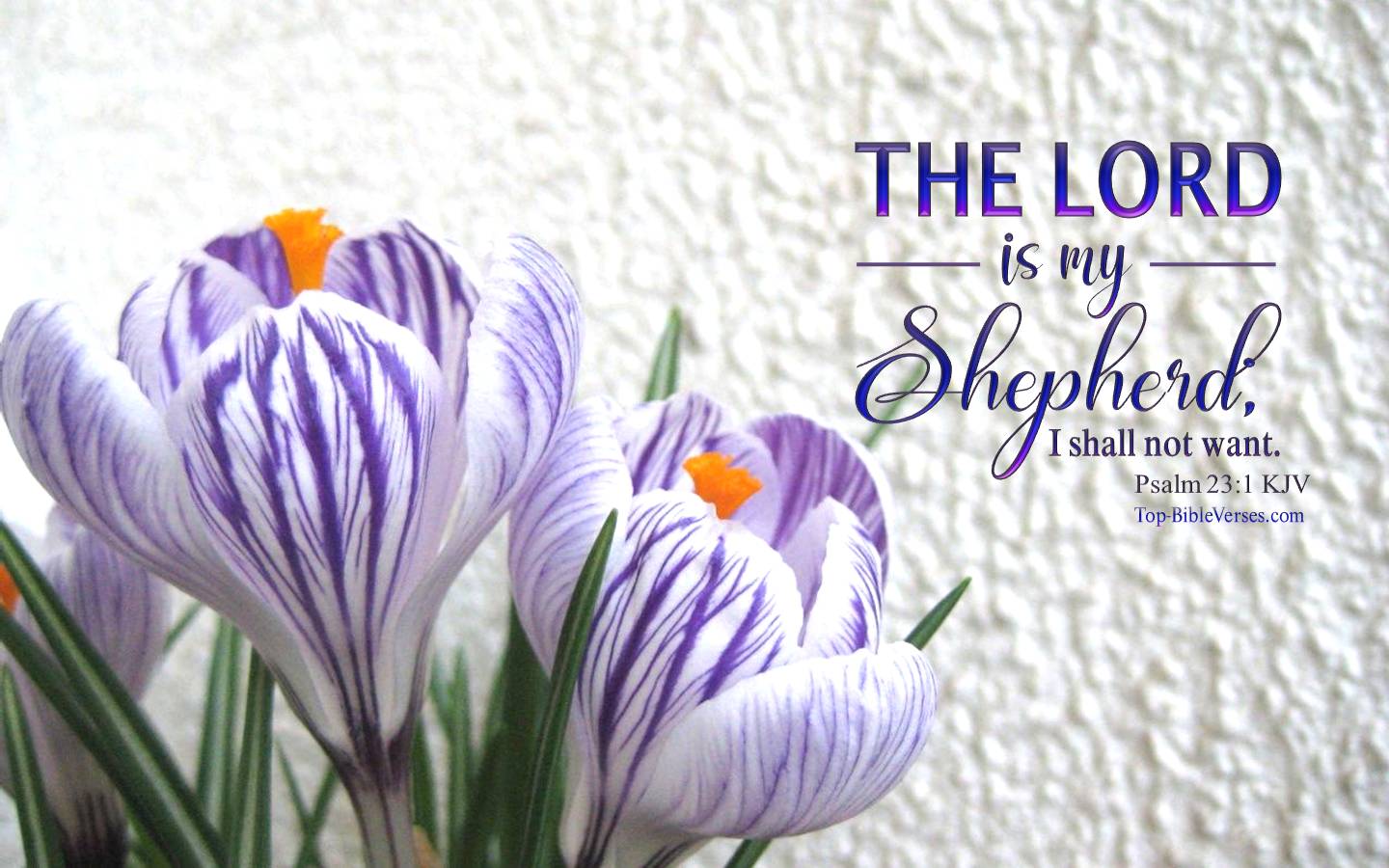 1440x900 Psalm 23:1 KJV Desktop Wallpaper. Bible Verse Wallpaper