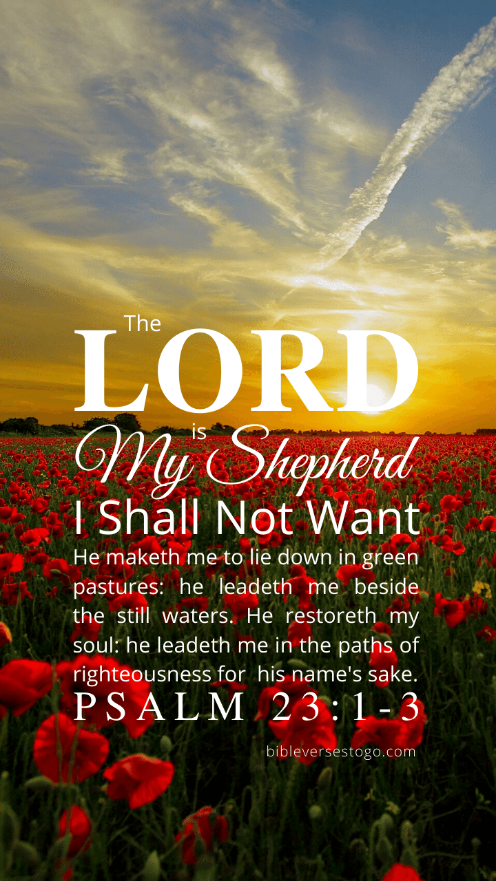 720x1280 Psalm 23:1 3 Bible Verse Wallpaper Verses To Go