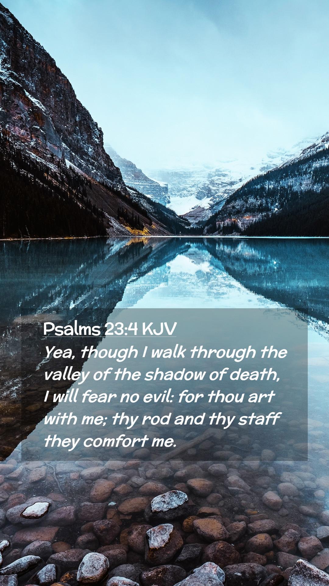 1080x1920 Psalms 23:4 KJV Mobile Phone Wallpaper, though I walkley of the