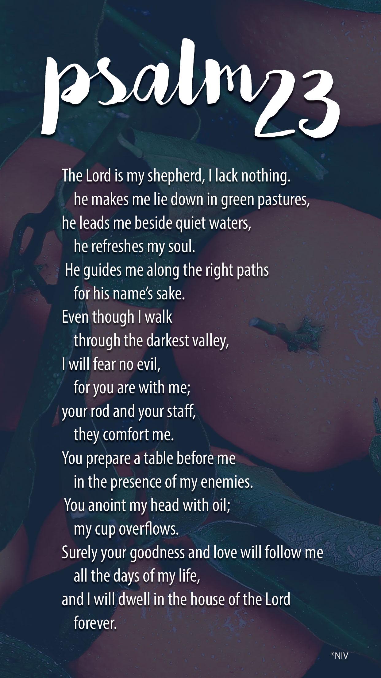 1242x2208 Psalm 23 Wallpaper