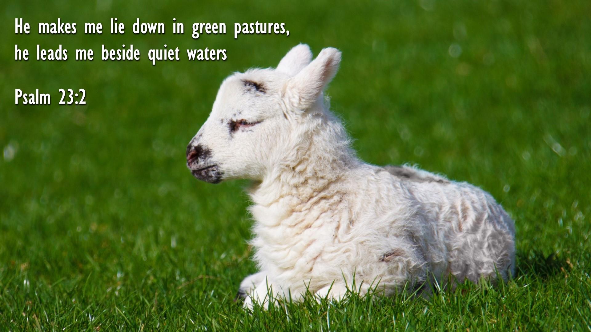 1920x1080 Psalm 23:2