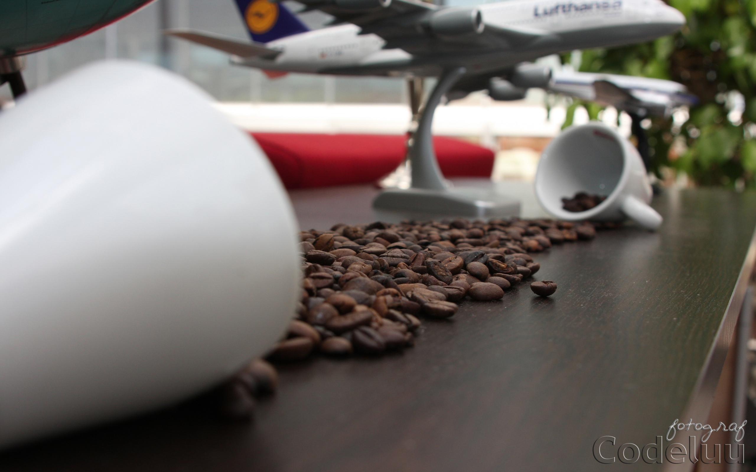 2560x1600 Coffee Break! wallpaper. Coffee Break!
